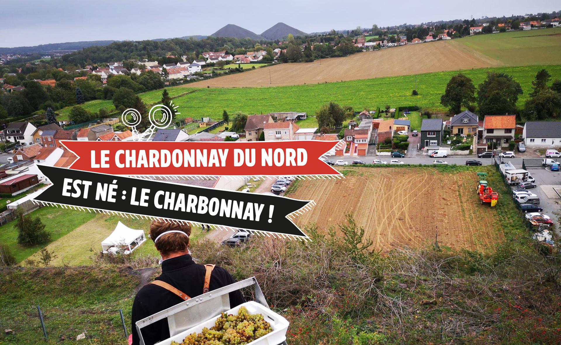 Le Chardonnay du nord est né : le Charbonnay !