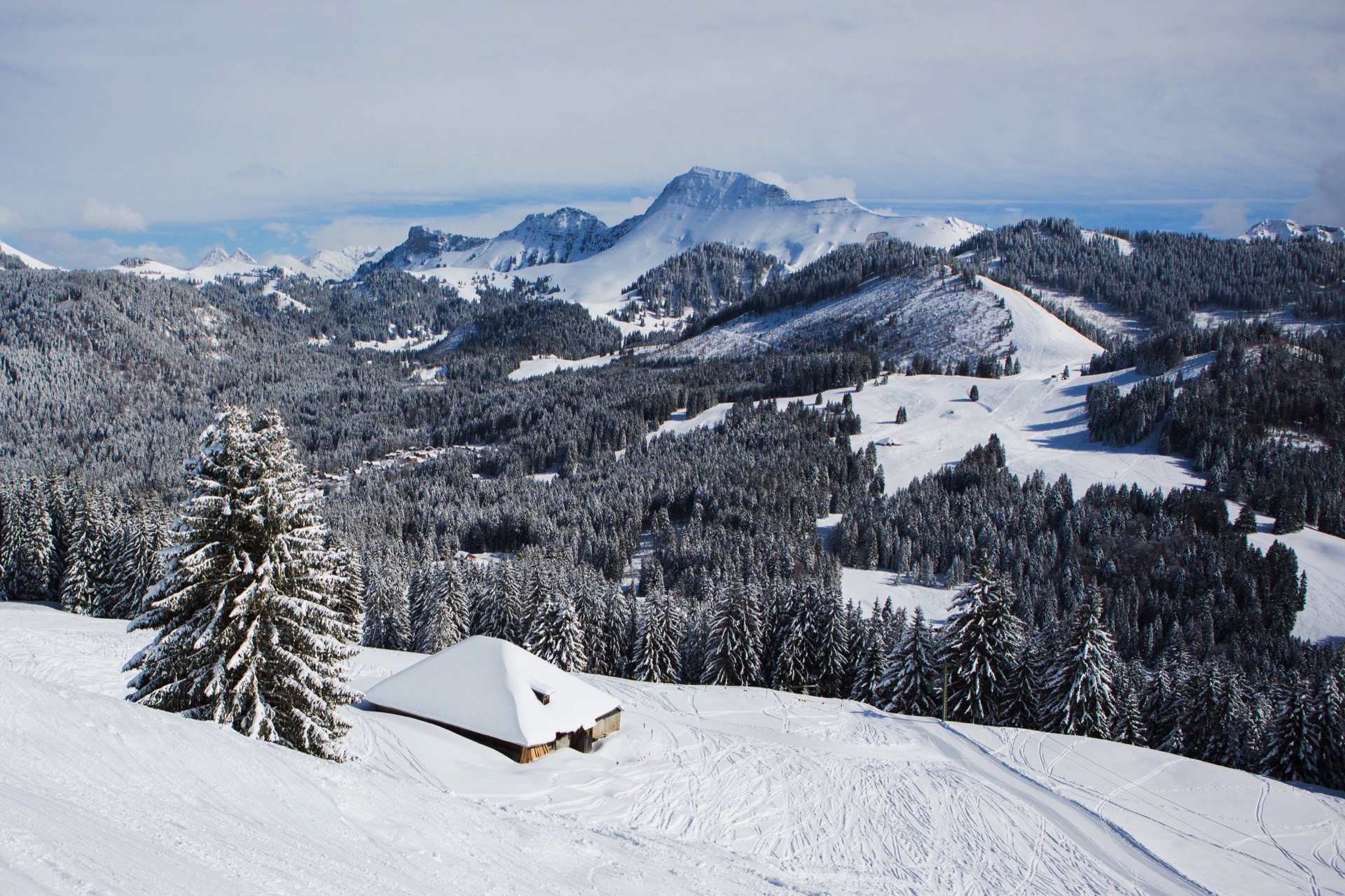 Les Paccots, ski nature et panoramas enchanteurs - Crédit photo : CreationPhoto Aurélie Felli
