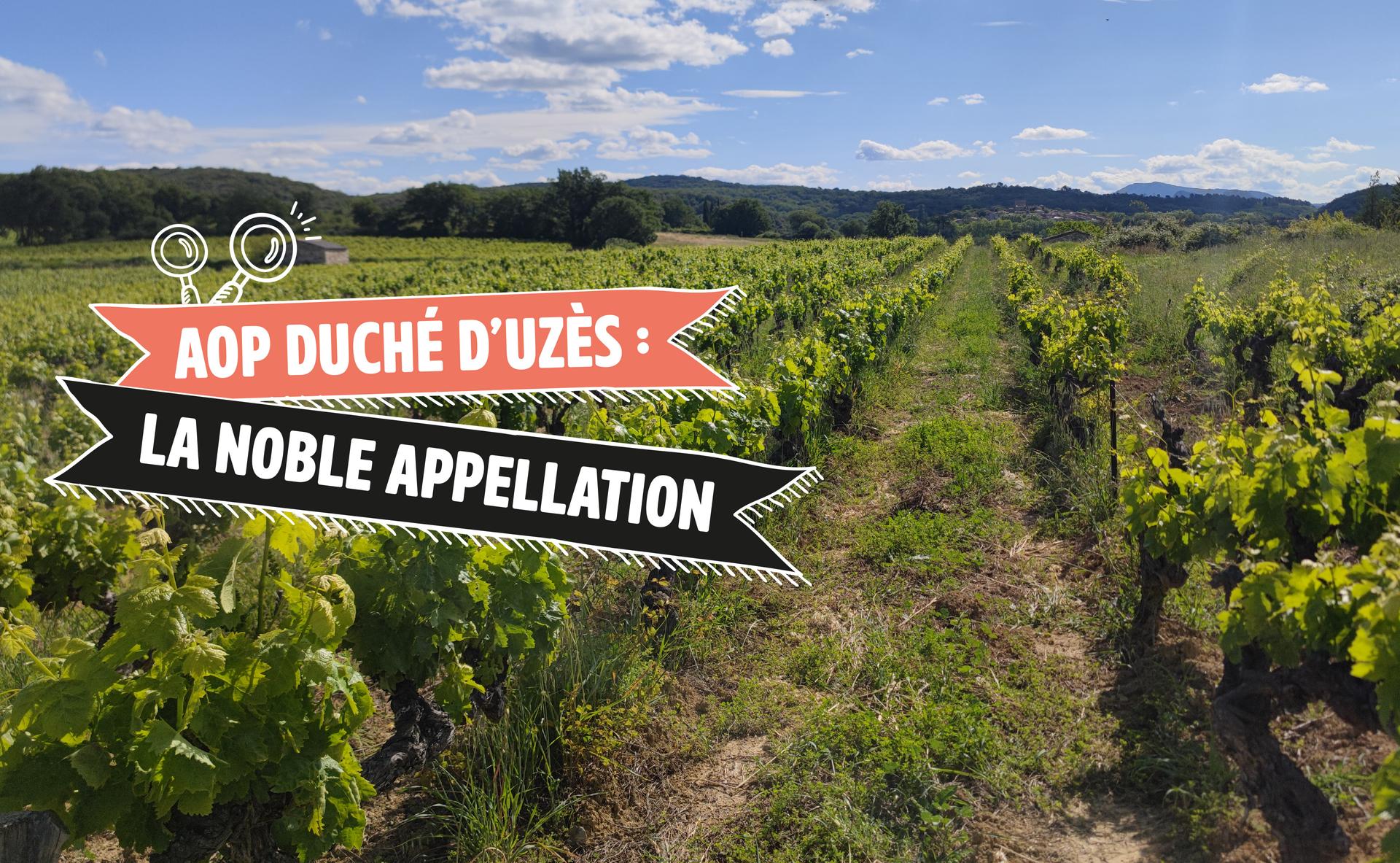 Duché d'Uzès : la noble appellation