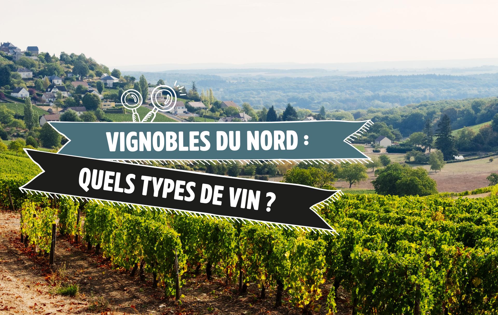 Vignobles du nord : quels types de vins ?