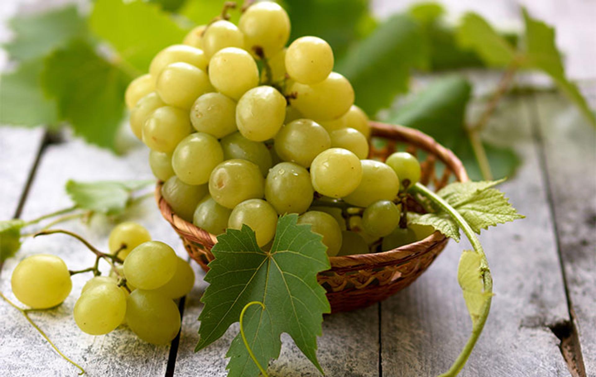 Peut-on faire du vin avec du raisin de table ?