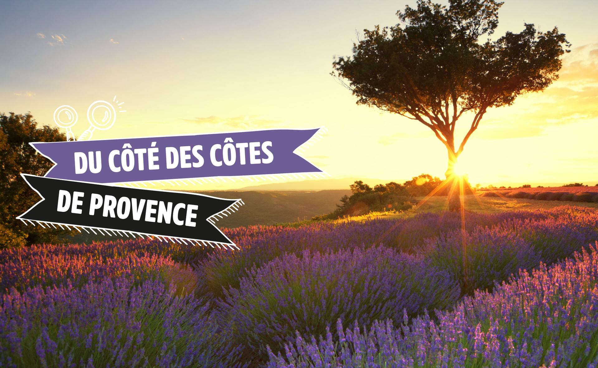 Du côté des Côtes de Provence