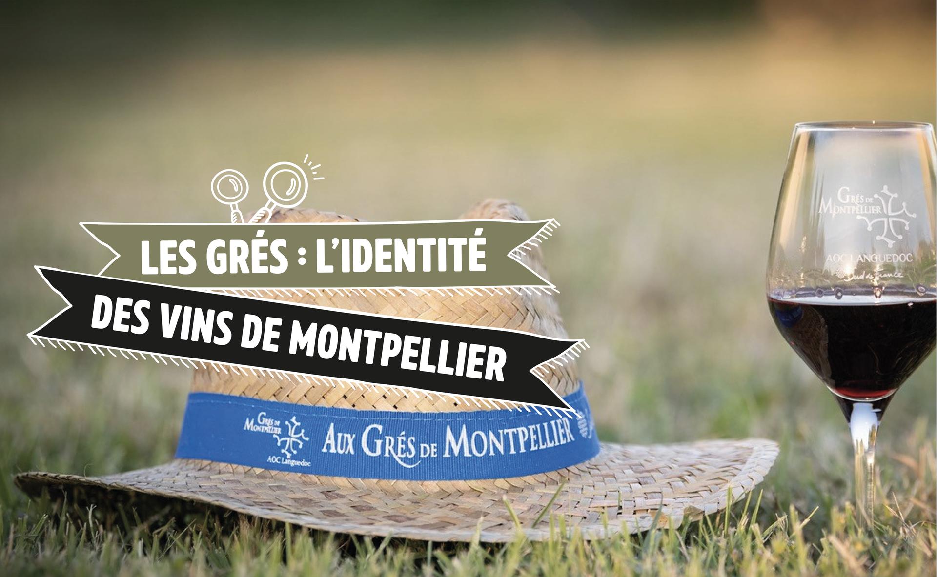 Les Grés : l’identité des vins de Montpellier