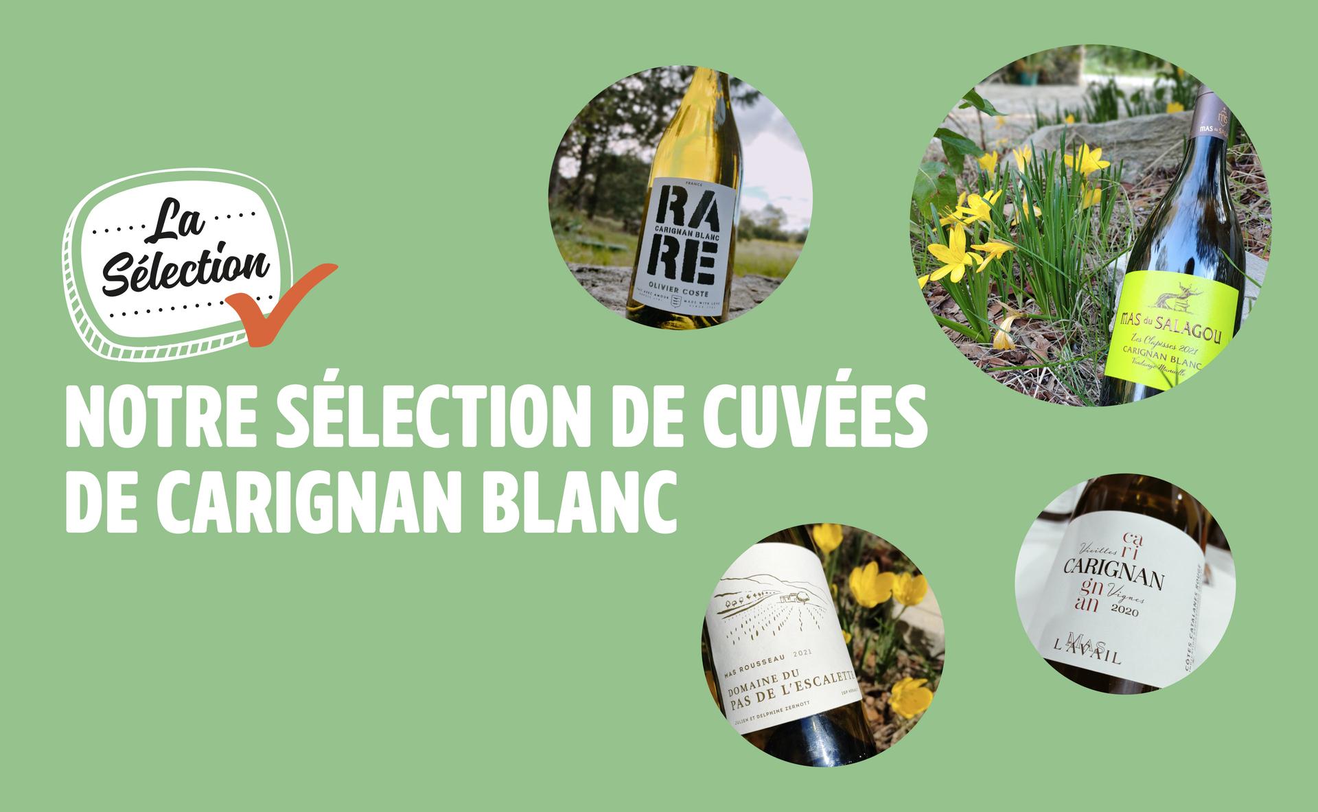 Notre sélection de cuvées de Carignan Blanc
