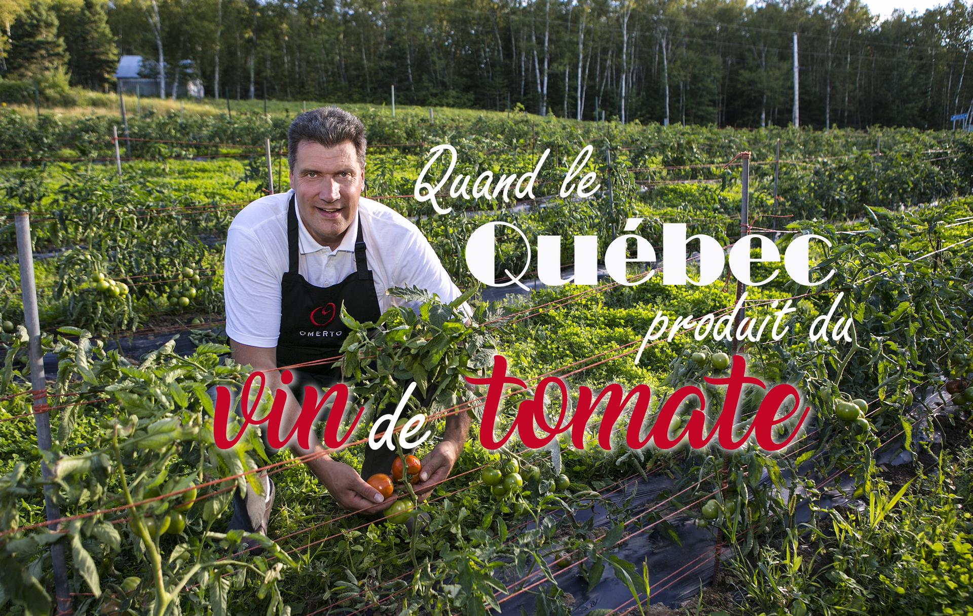 Quand le Québec produit du vin de tomate