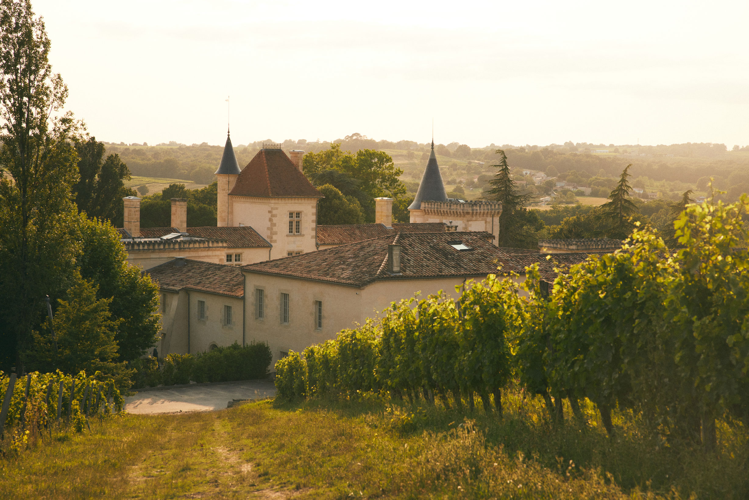 Plongée dans les vignes et dans l’Histoire viticole du Bordelais - Crédit photos : Château Toulouse Lautrec