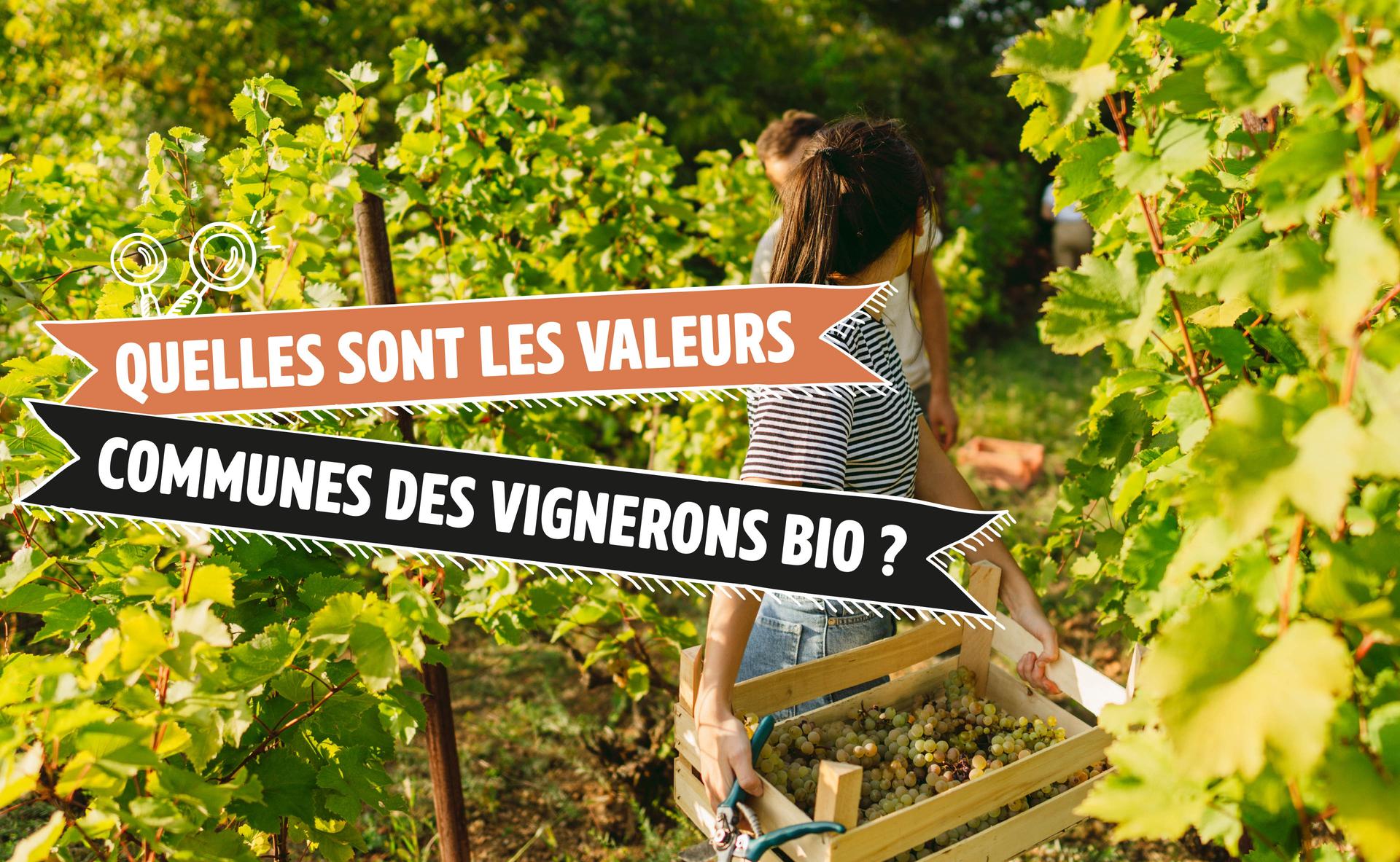 Quelles sont les valeurs communes des vignerons Bio ?