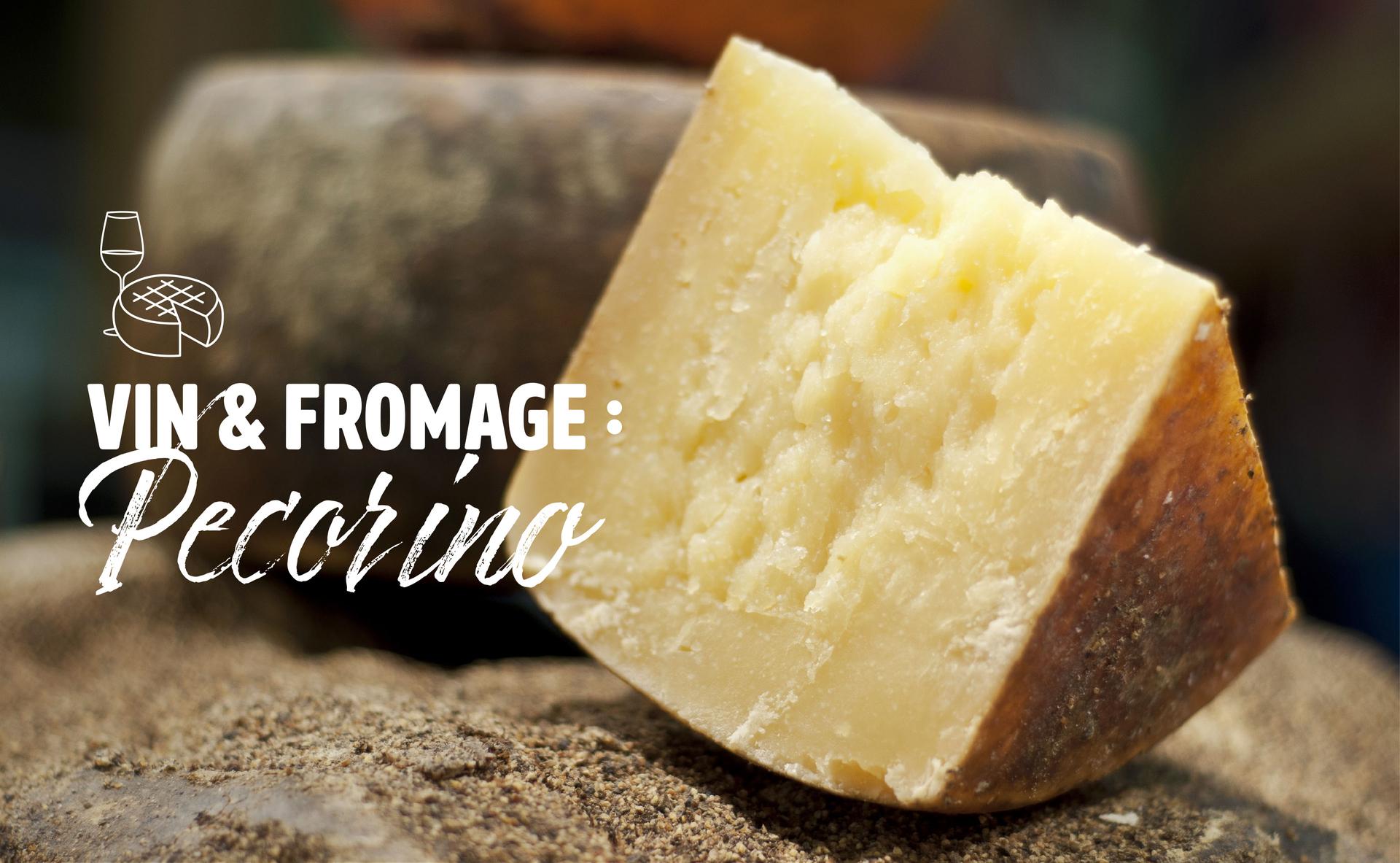 Vin & fromage : le Pecorino