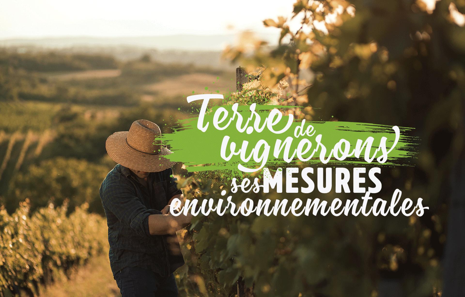 Terre de Vignerons, ses mesures environnementales