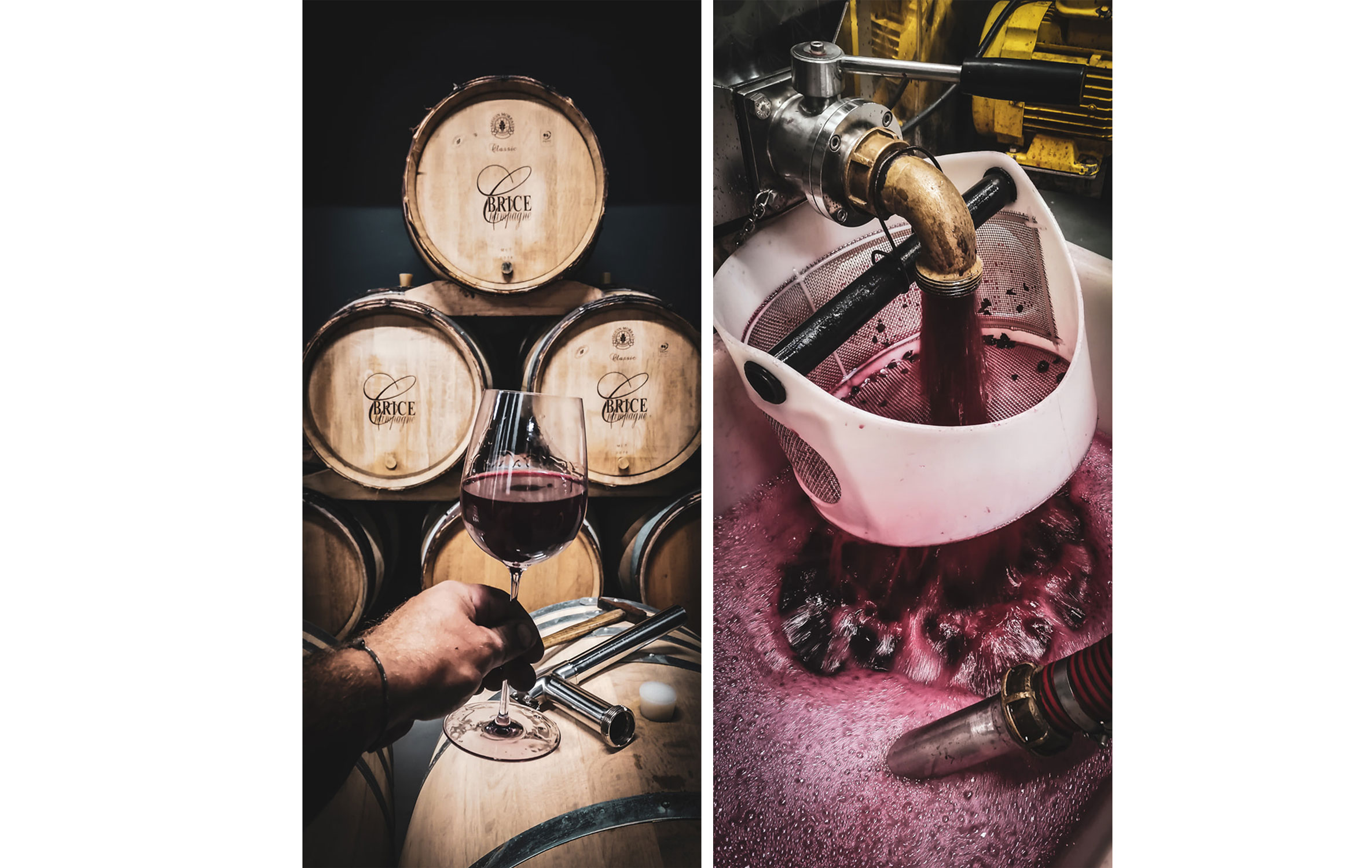 La Maison Brice élabore les fameux Bouzy Rouge, l’un des terroirs les plus prisés pour élaborer des vins tranquilles - Crédit photo : Yoann Palej