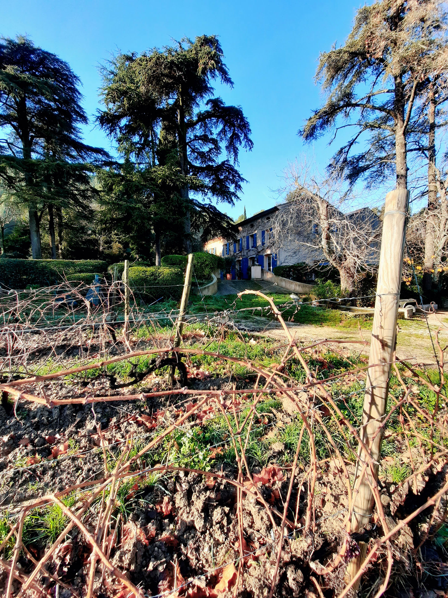 Le Château Barbanau veille sur son vignoble comme un jardin - Crédit : Romy Ducoulombier