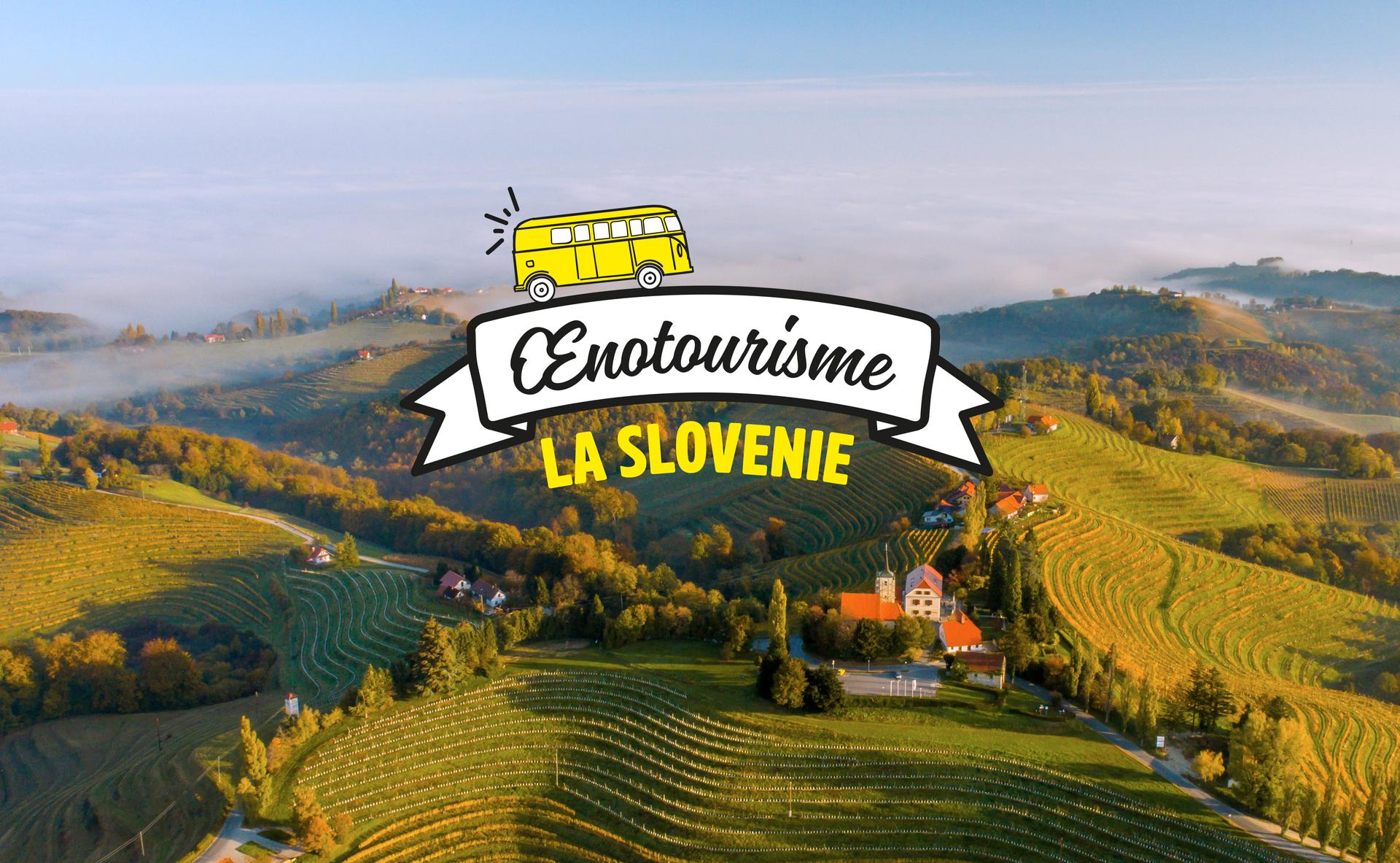 Tour du monde des vignobles : la Slovénie