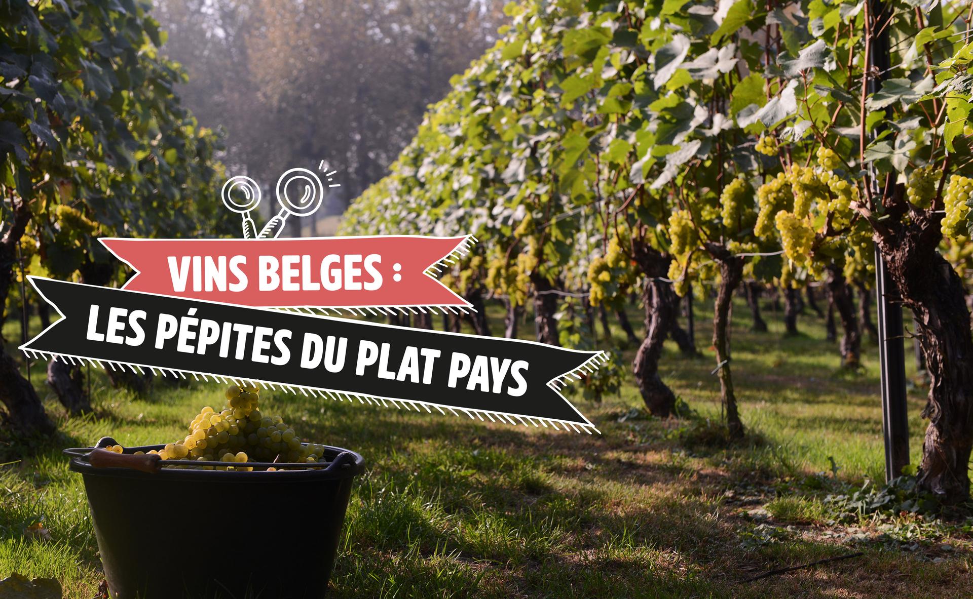 Vins belges : les pépites du plat pays