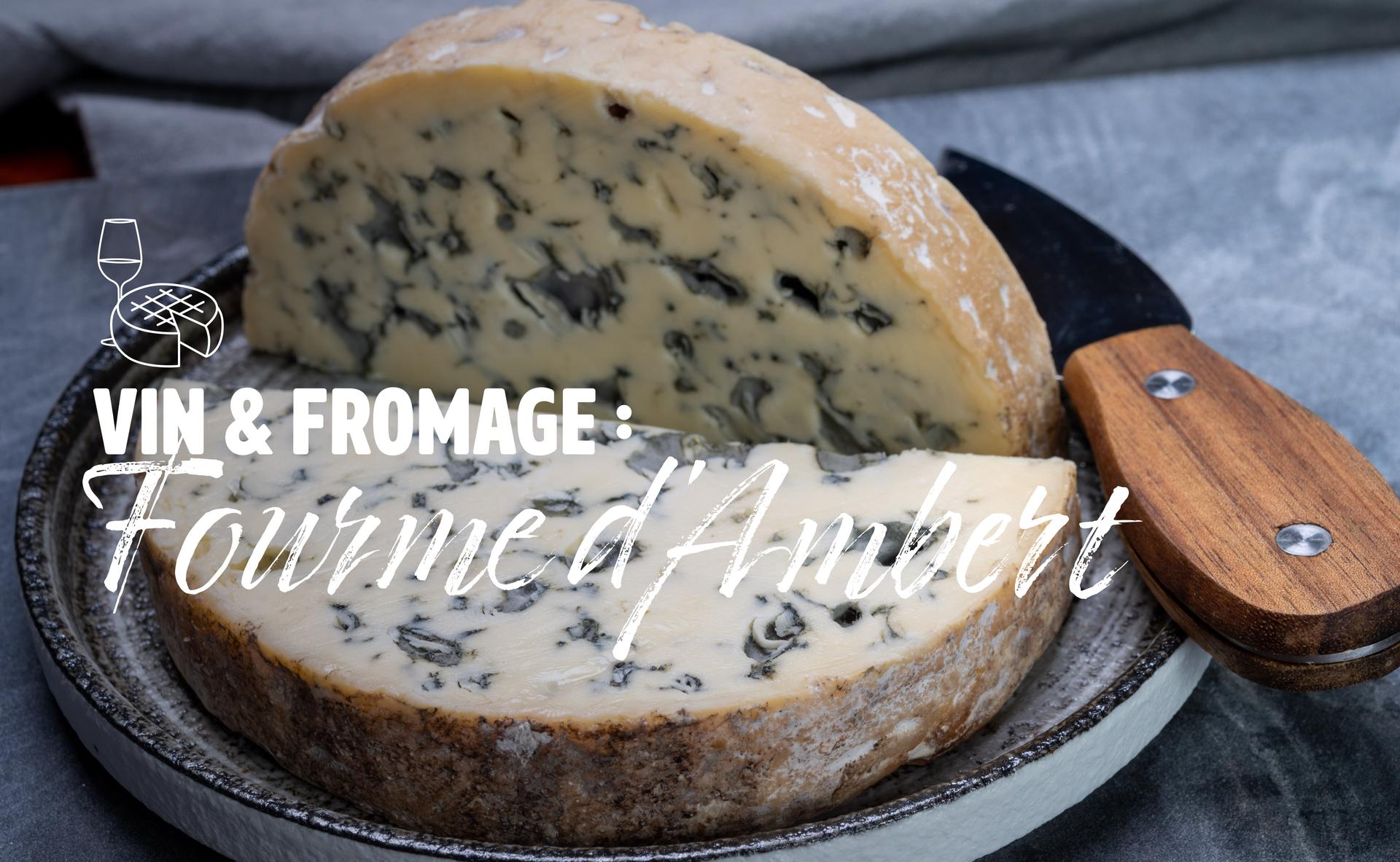 Vin & fromage : la Fourme d’Ambert