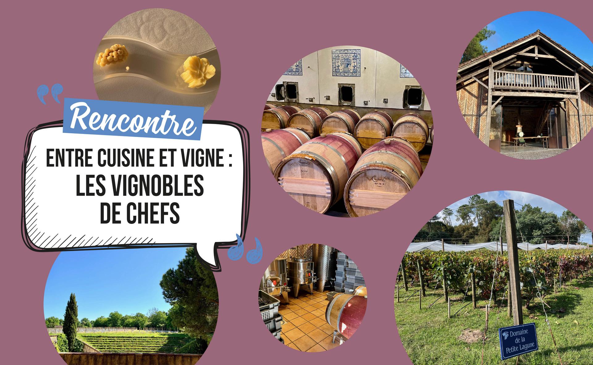 Entre cuisine et vigne : les vignobles de chefs