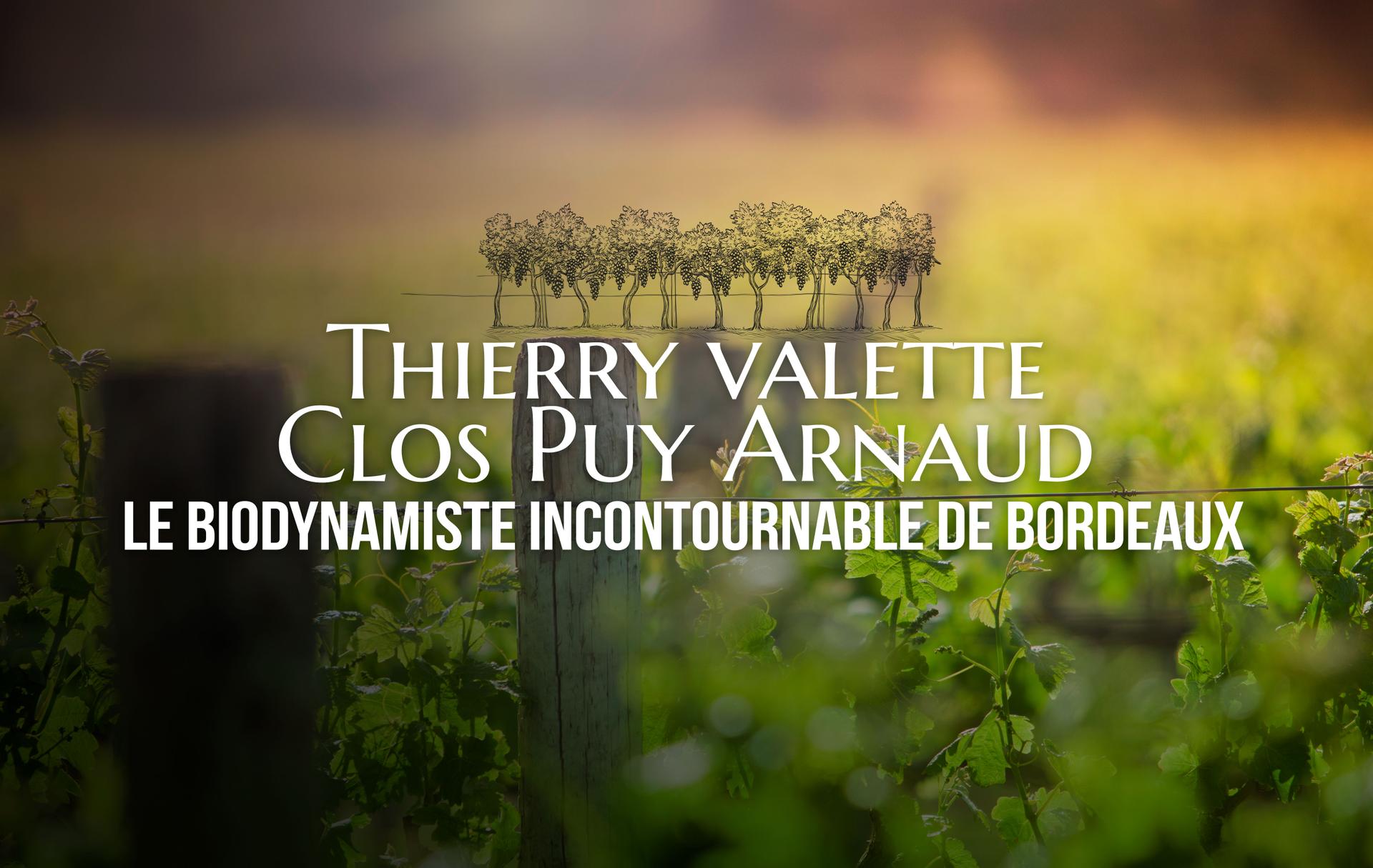 Thierry Valette, le biodynamiste Incontournable de Bordeaux