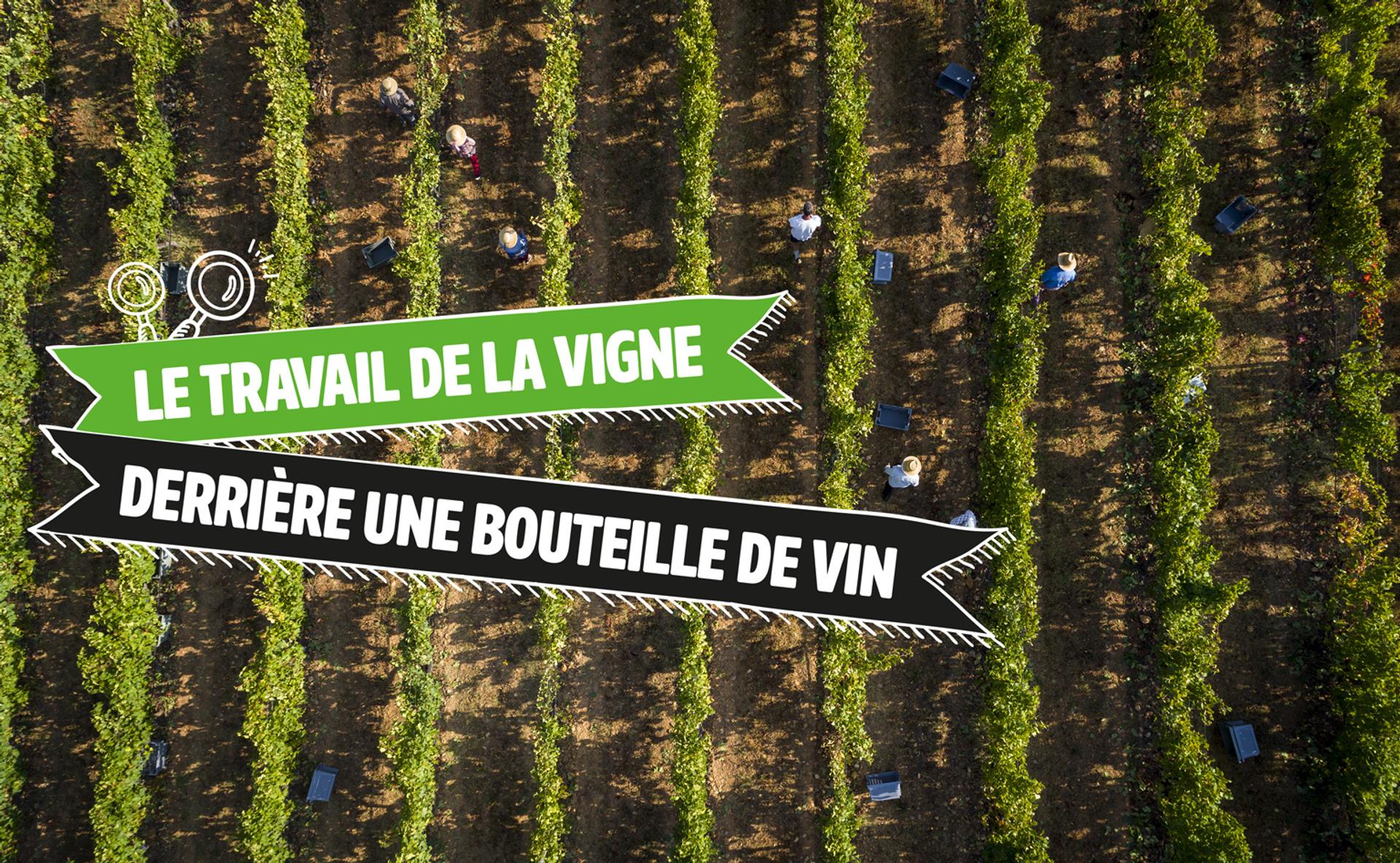 Le travail de la vigne derrière une bouteille de vin