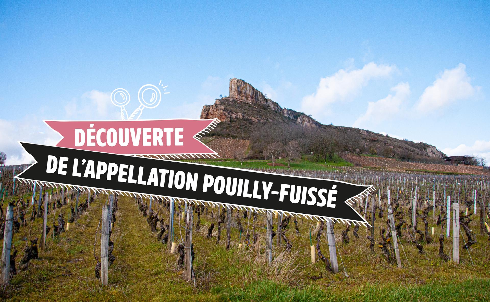 Découverte de l’appellation Pouilly-Fuissé