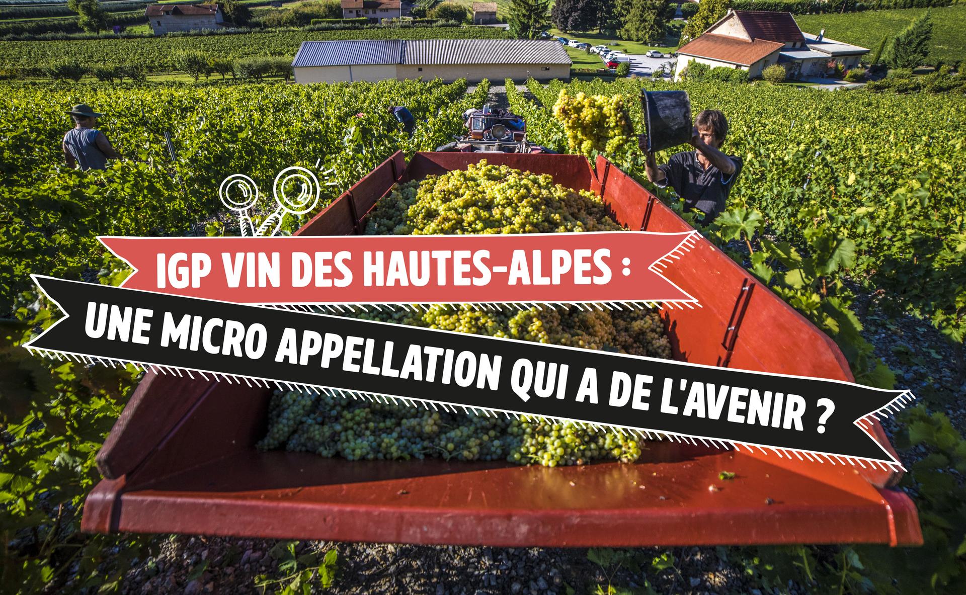 IGP vin des Hautes-Alpes : une micro appellation qui a de l’avenir ?