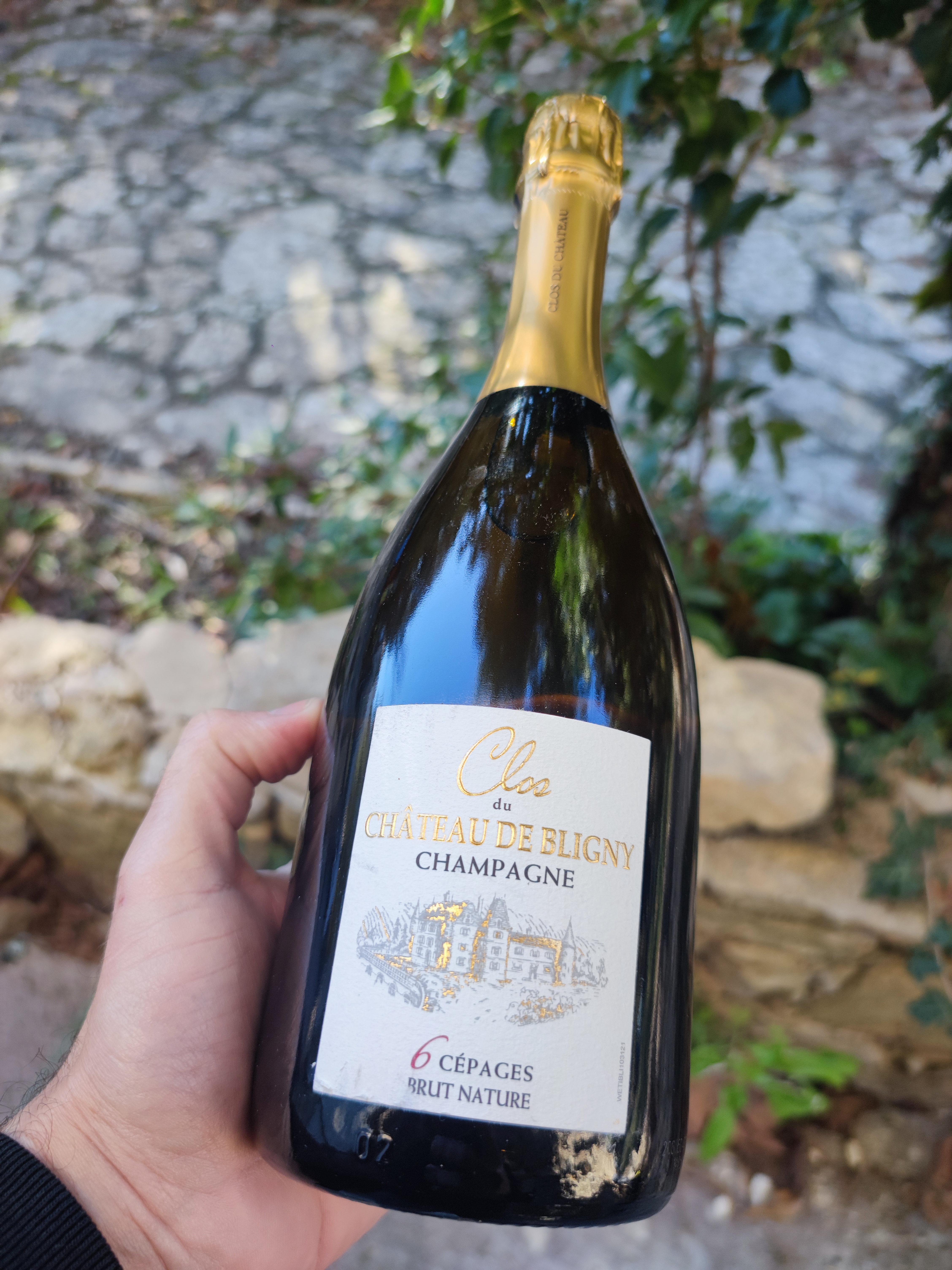 La rareté d’une cuvée 6 cépages dans un Clos et au cœur d’un Château en appellation Champagne