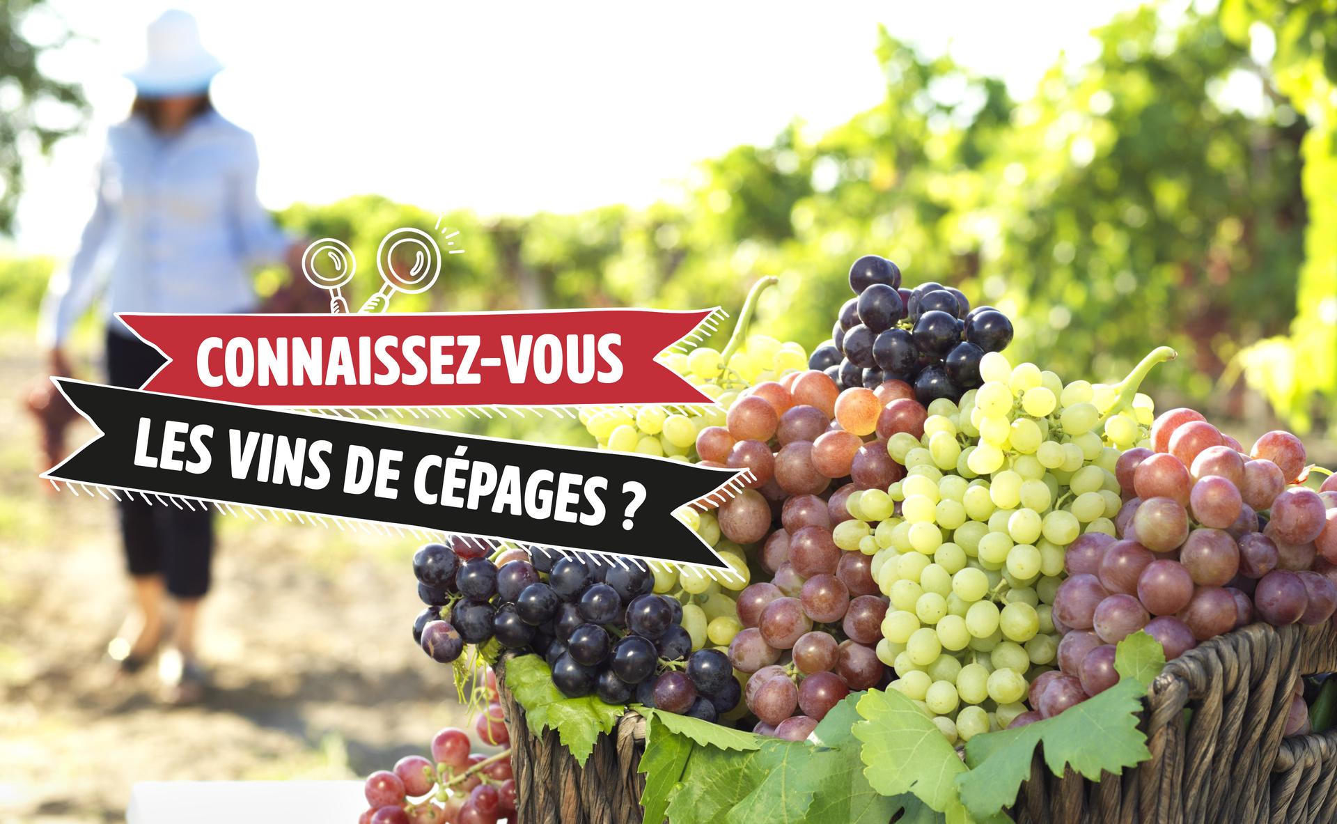 Connaissez-vous les vins de cépages ?
