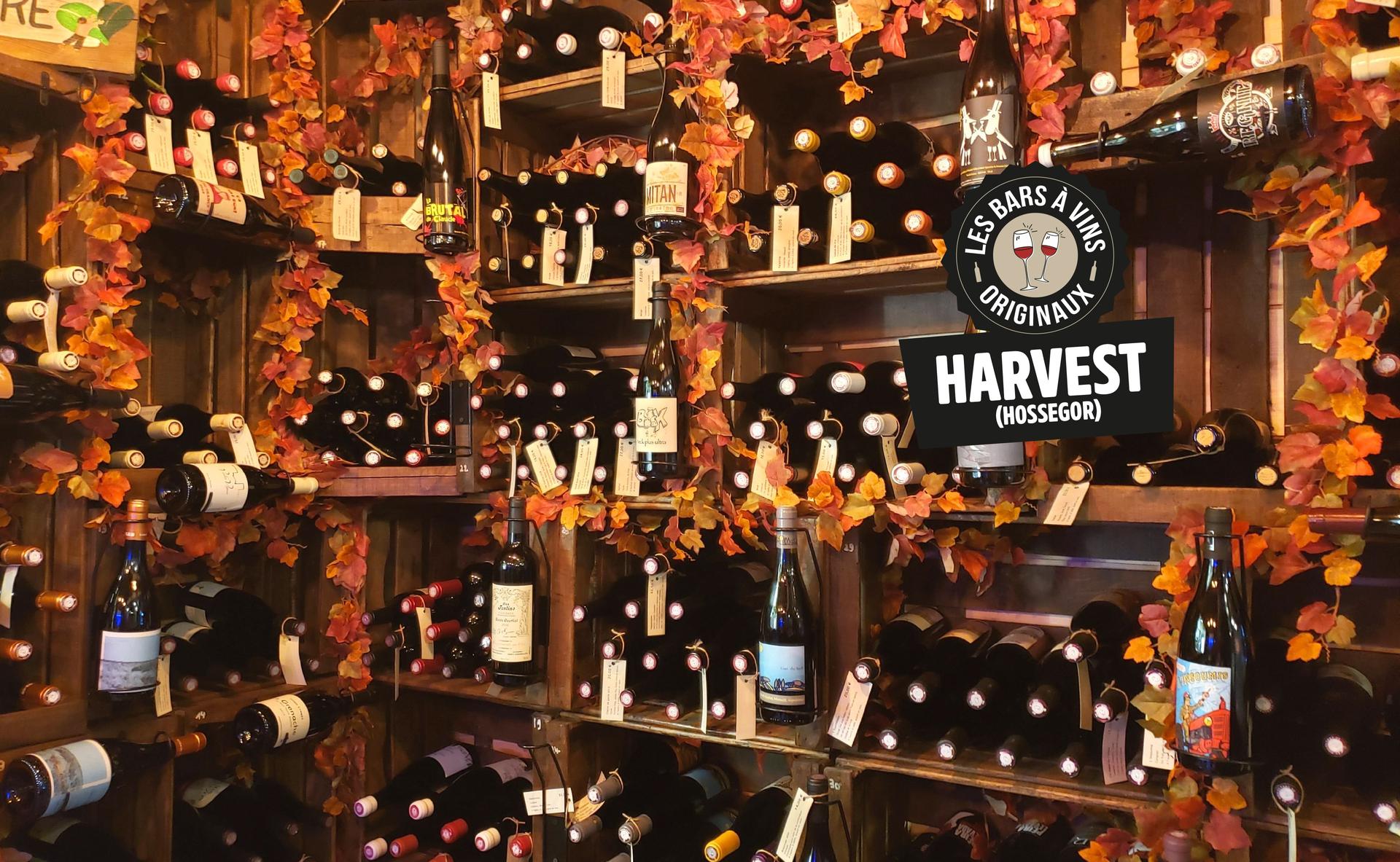 Harvest : vins naturels et carte de saison à Soorts-Hossegor
