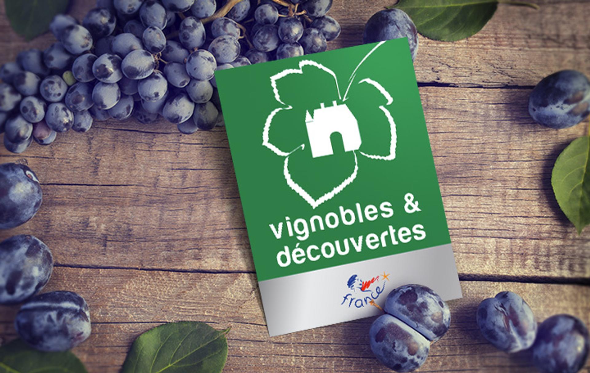 Œnotourisme : Peut-on se fier au label Vignobles & Découvertes ?