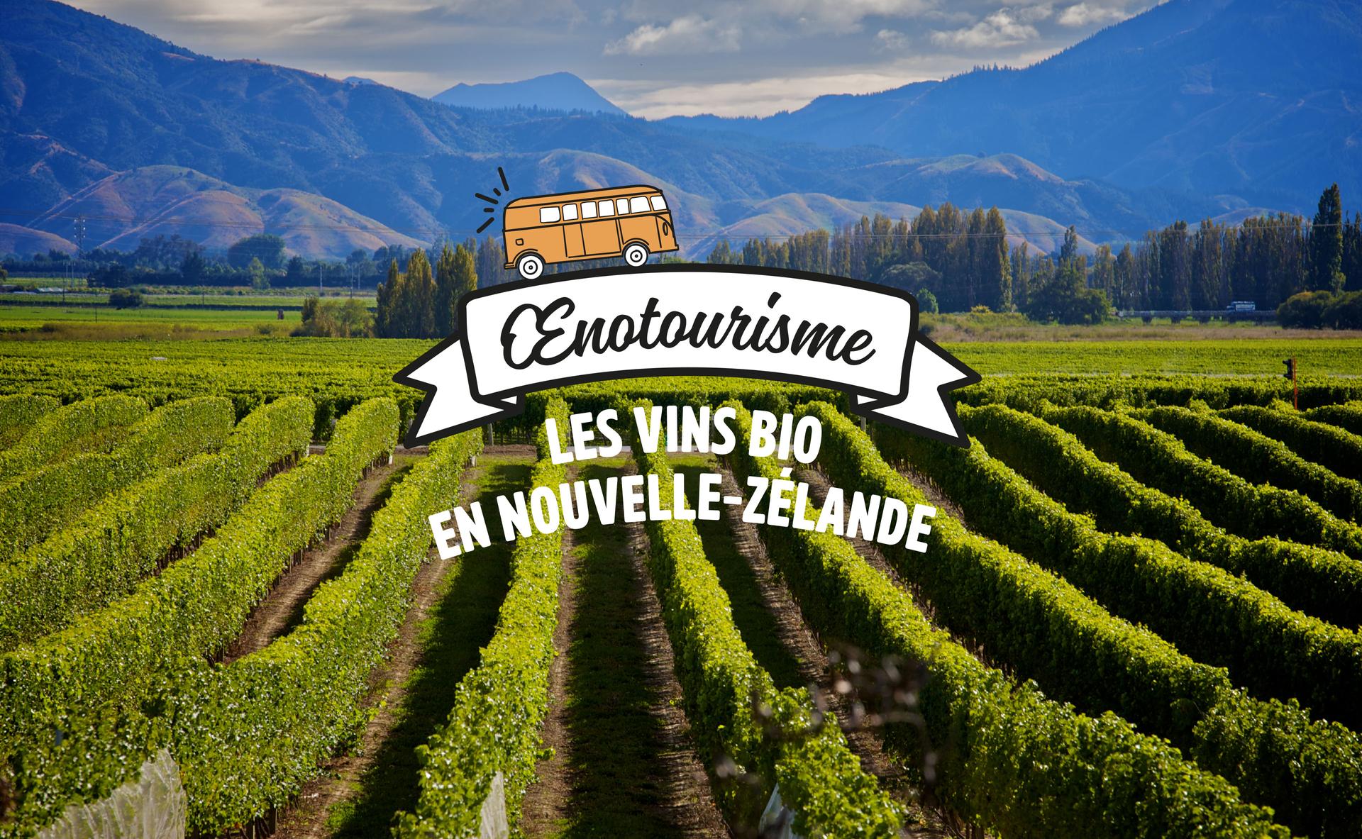 Quelle est la place des vins Bio en Nouvelle-Zélande ?