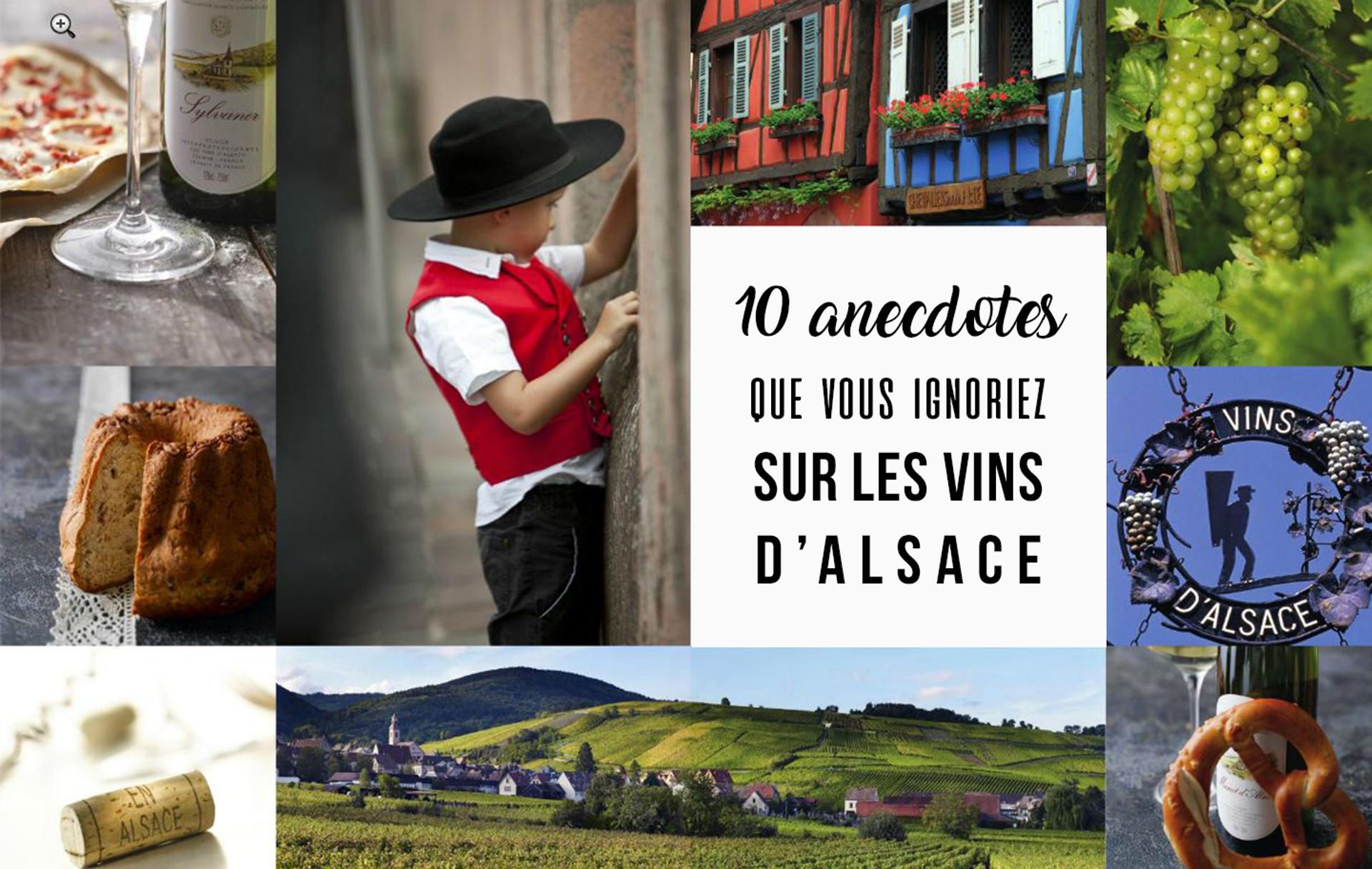 Histoires incroyables et vins d'Alsace : 10 anecdotes que vous ignorez peut-être