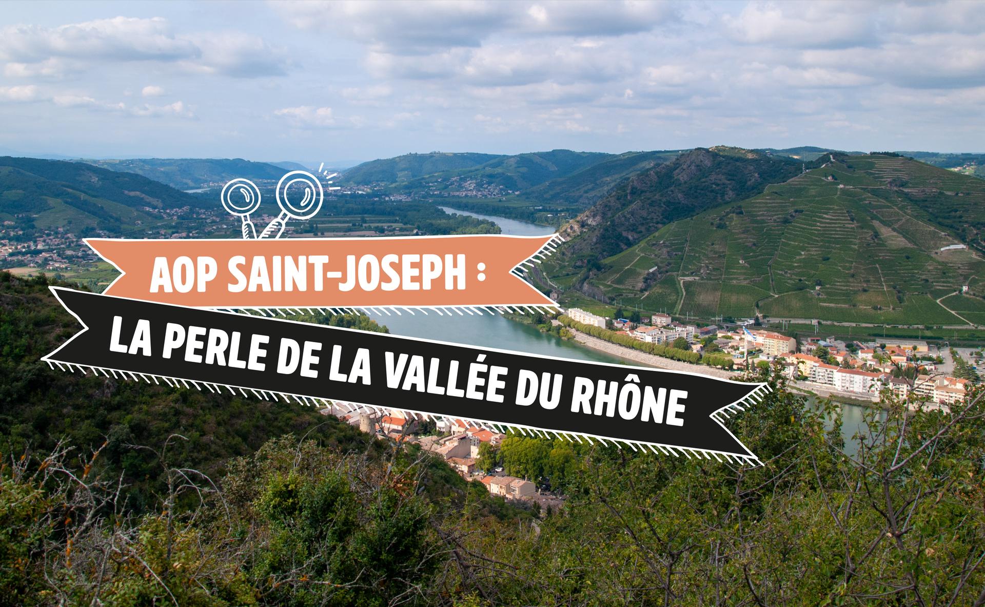 AOP Saint-Joseph : la perle granitique du Rhône septentrional