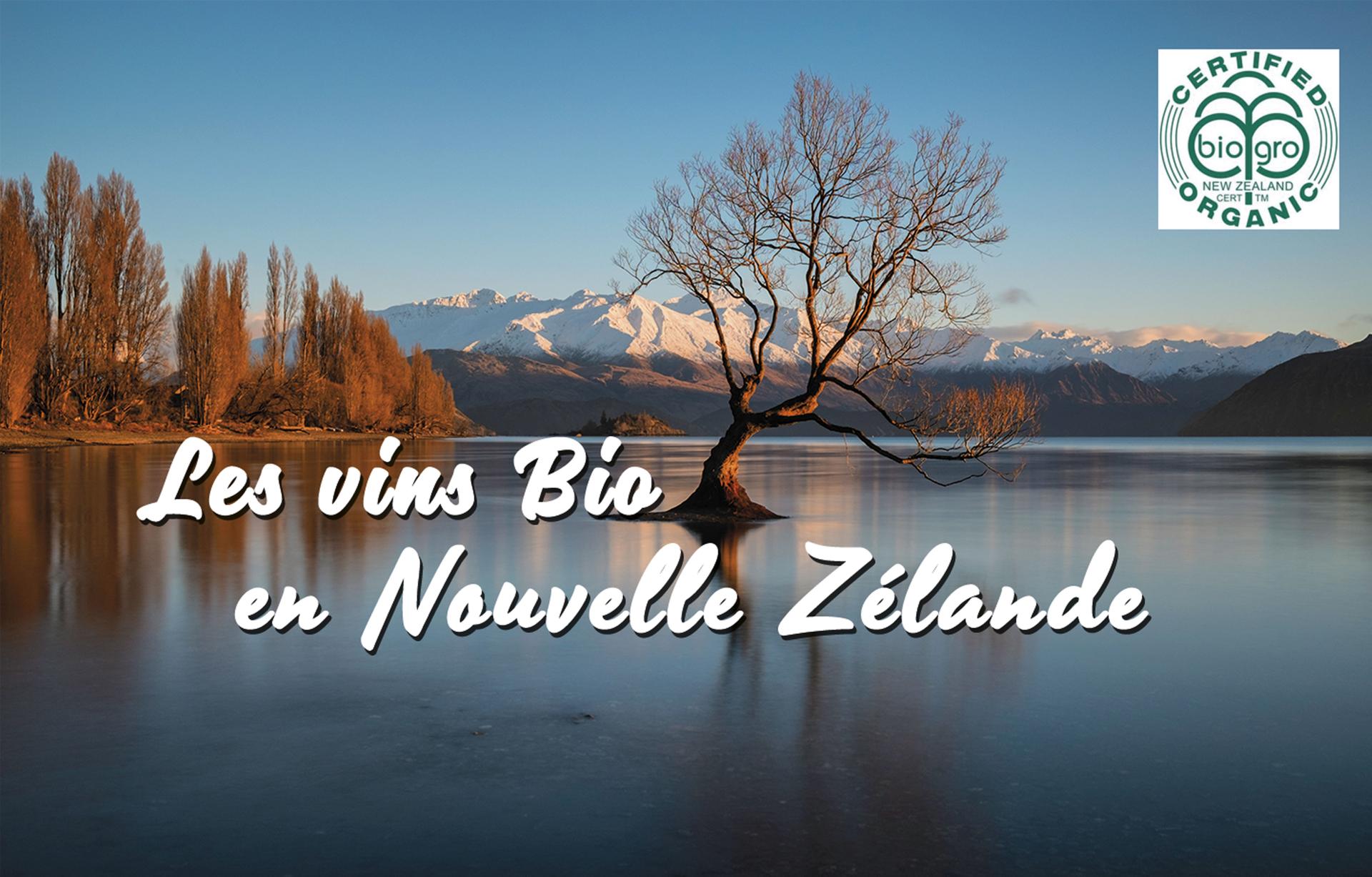 Quelle est la place des vins Bio en Nouvelle-Zélande ?