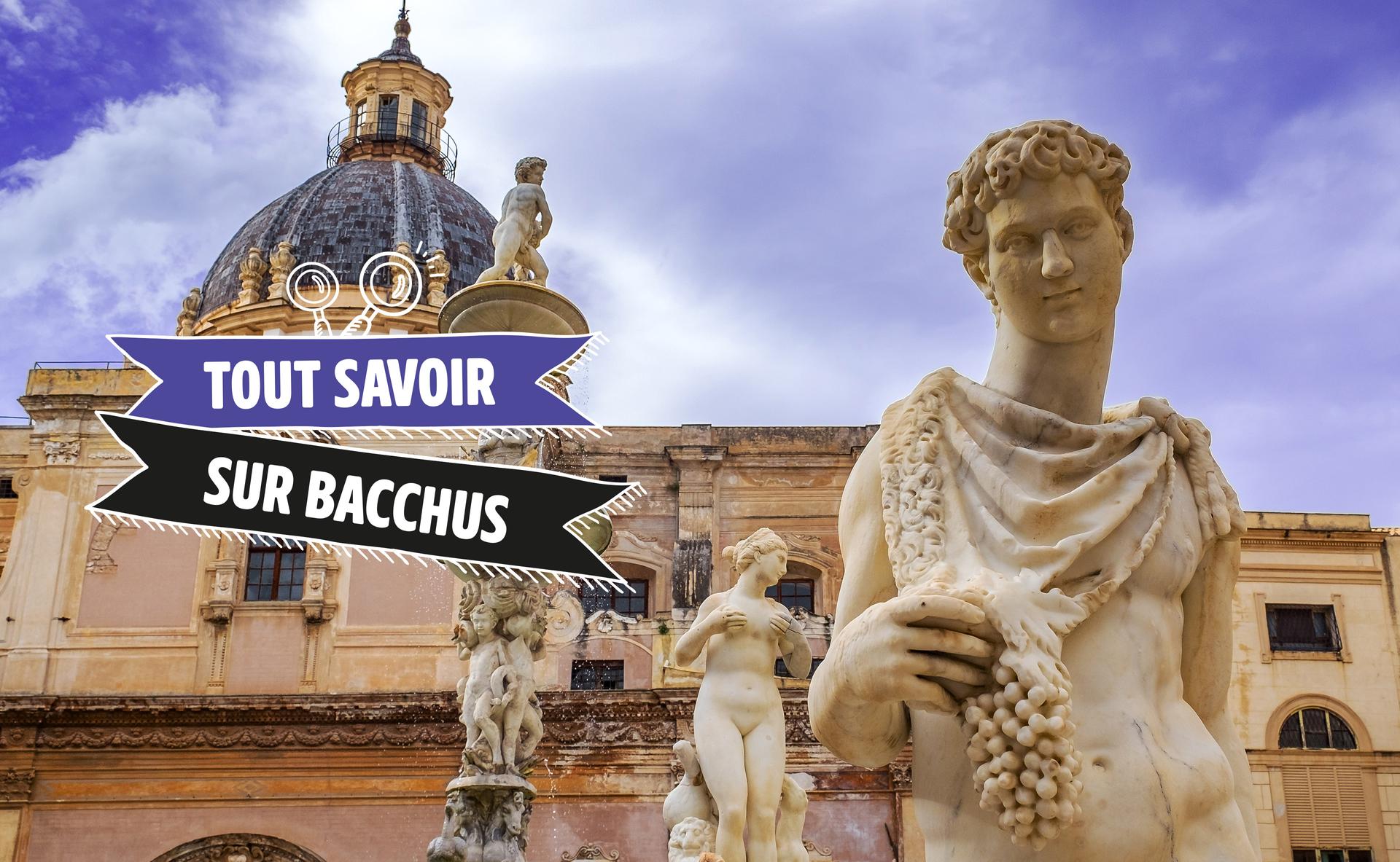 Tout savoir sur Bacchus