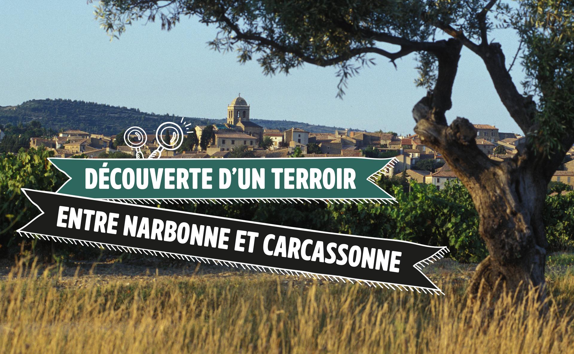 A la découverte d’un terroir d’exception entre Narbonne et Carcassonne