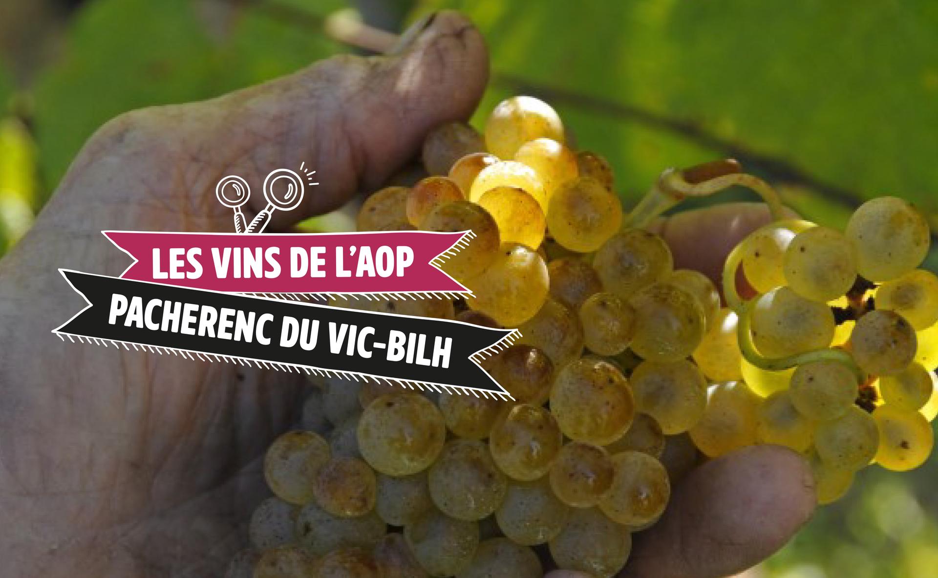 Quel vin blanc pour les fêtes ? Le Pacherenc du Vic-Bilh, l’une des pépites du Sud-Ouest !
