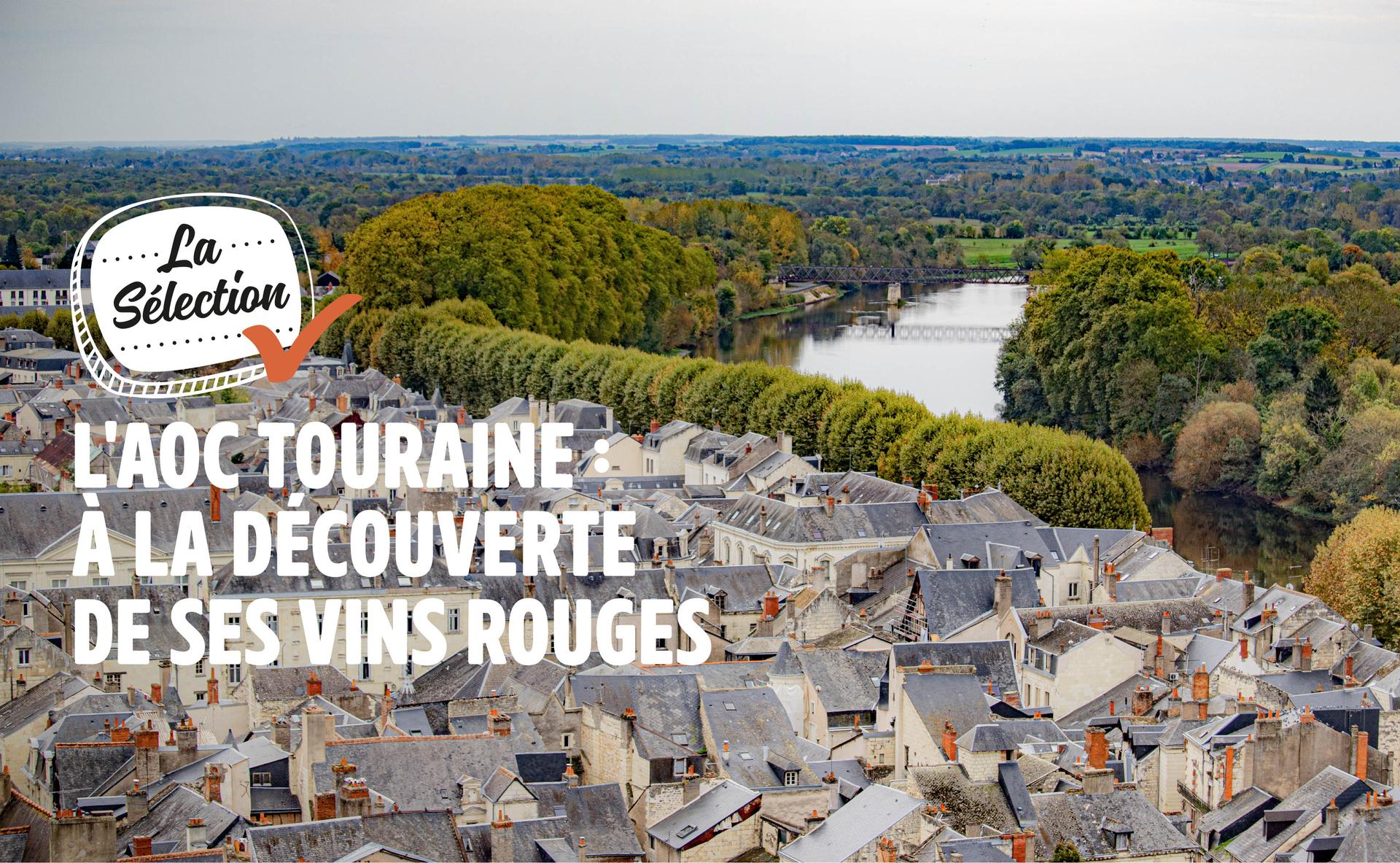 L'AOC Touraine : à la découverte de ses vins rouges
