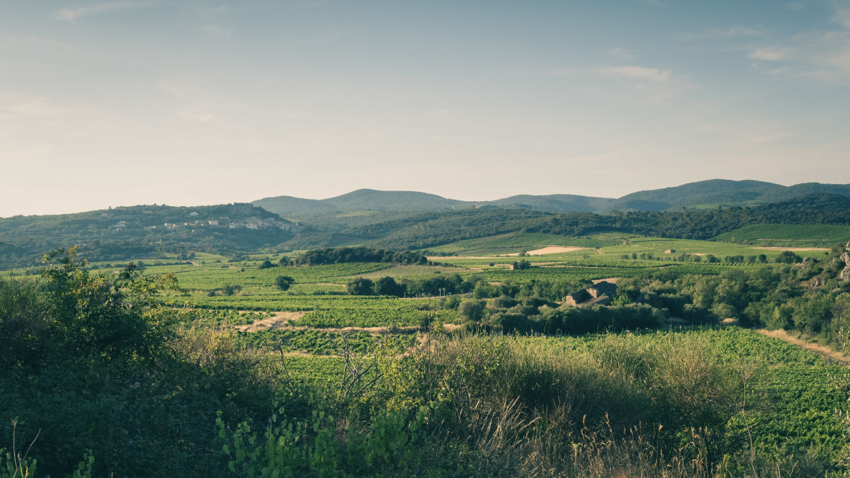 Le paysage du Vignoble de Faugères <sup>©</sup>Diabolo Bohème