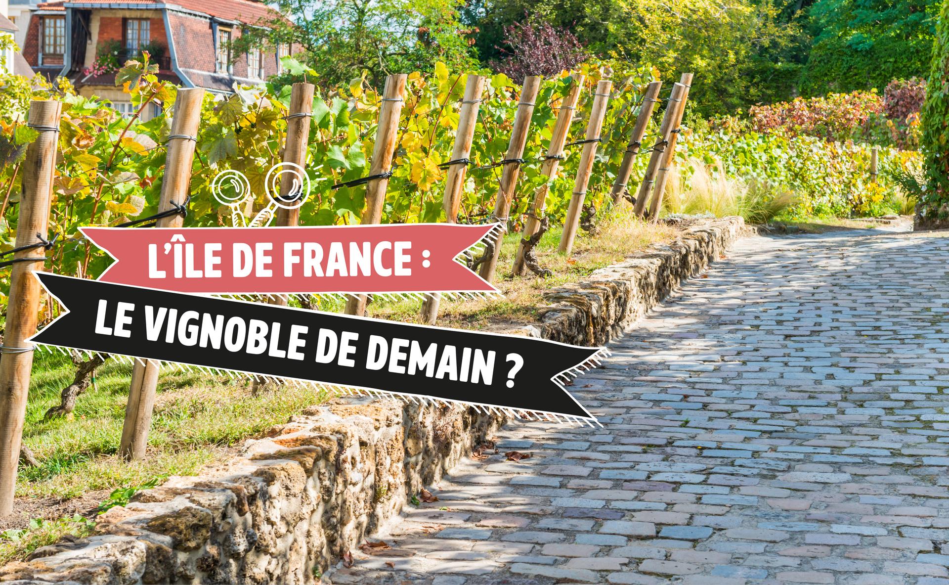 L’Ile de France : le vignoble de demain ?