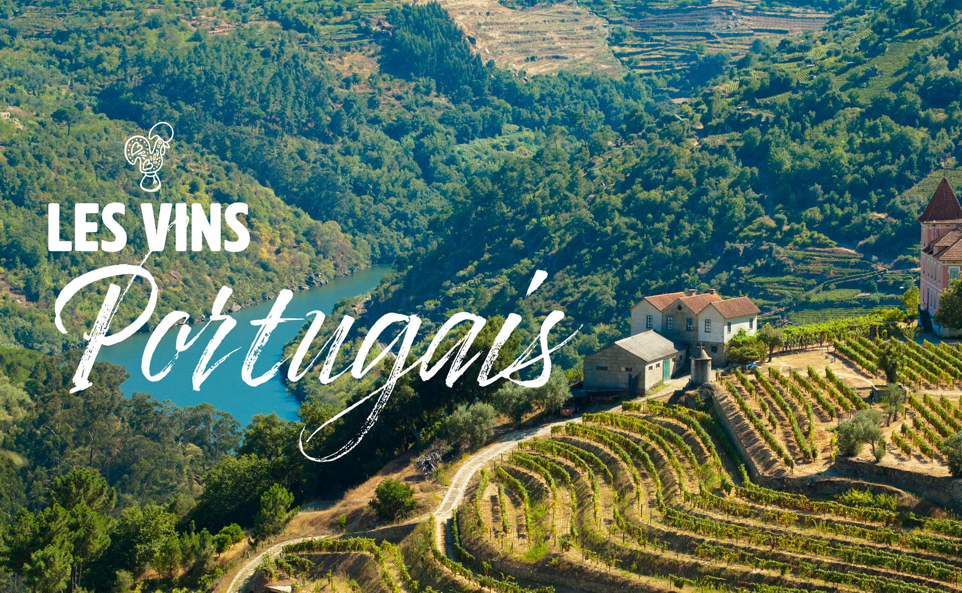 Les vins secs du Portugal : diversité, prix et qualité