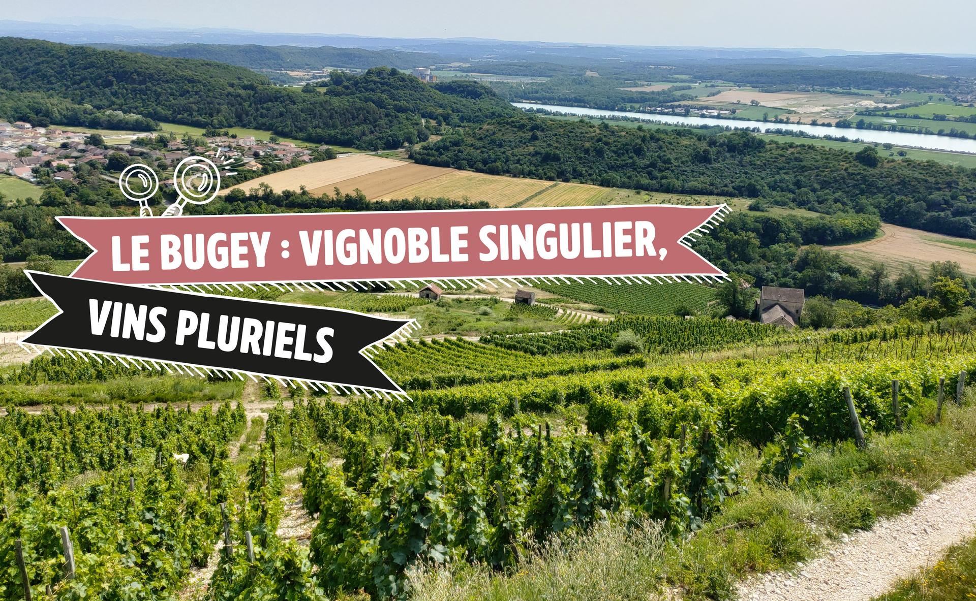 Le Bugey : vignoble singulier, vins pluriels