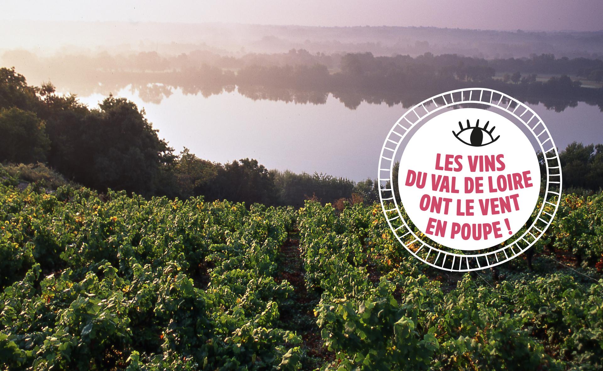 1 vignoble, 1000 facettes : les vins du Val de Loire ont le vent en poupe !