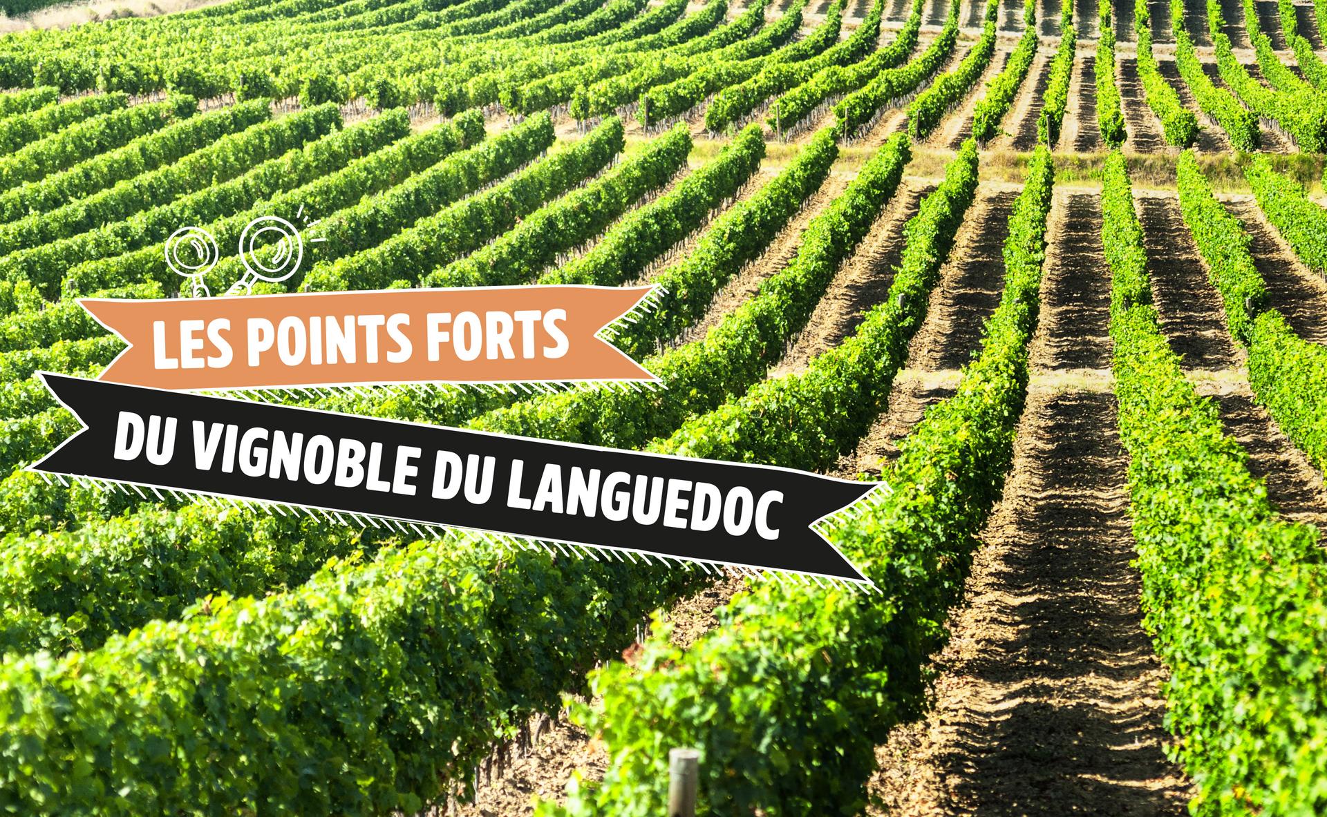 Les points forts du vignoble du Languedoc