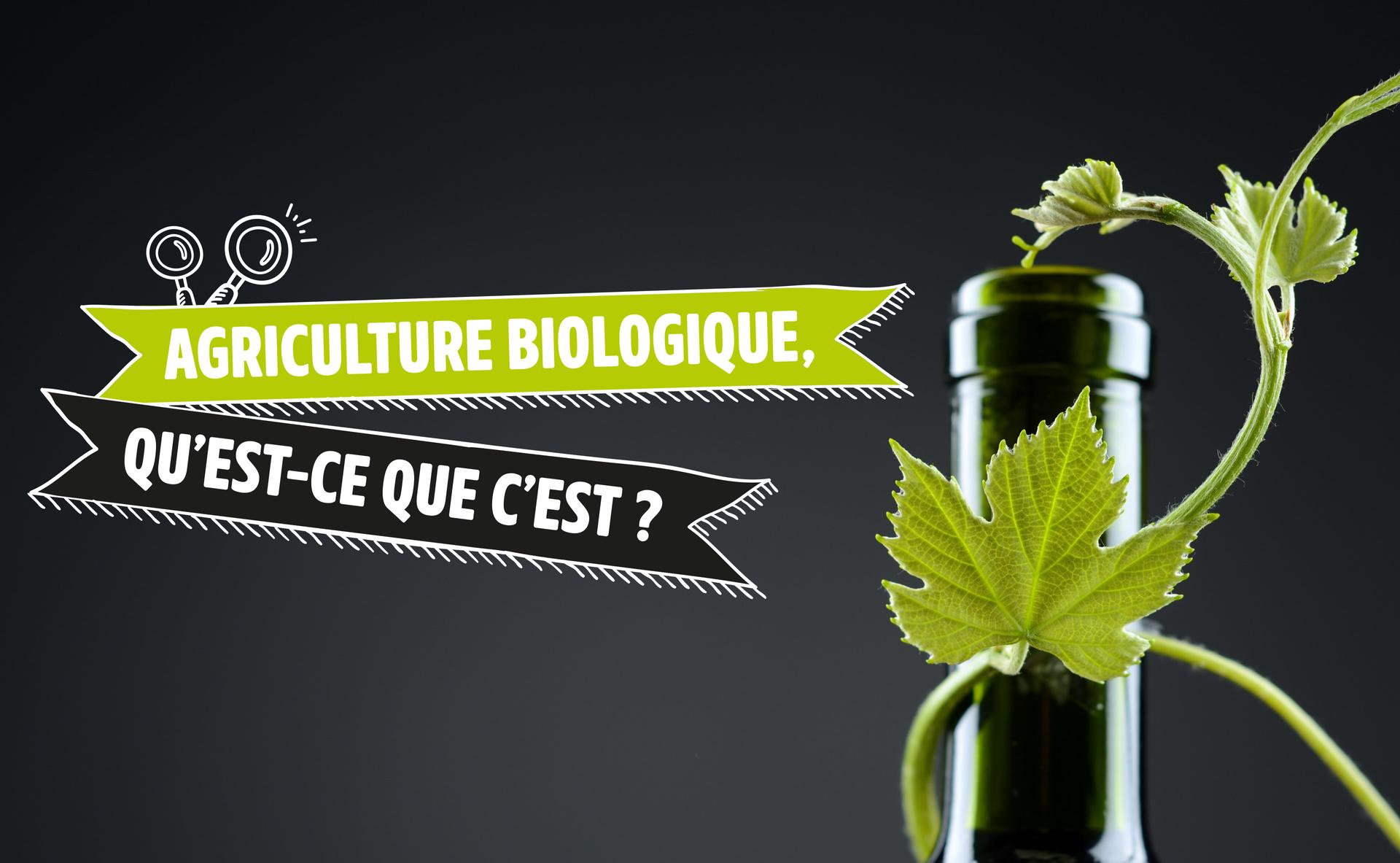 Labels environnementaux : Agriculture Biologique, qu’est-ce que c’est ?
