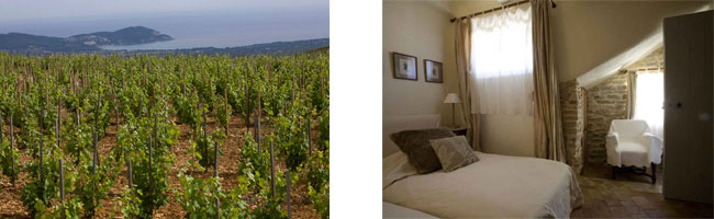Chambres d'hôtes vignoble de Provence La Begude - Toutlevin.com - Le Blog