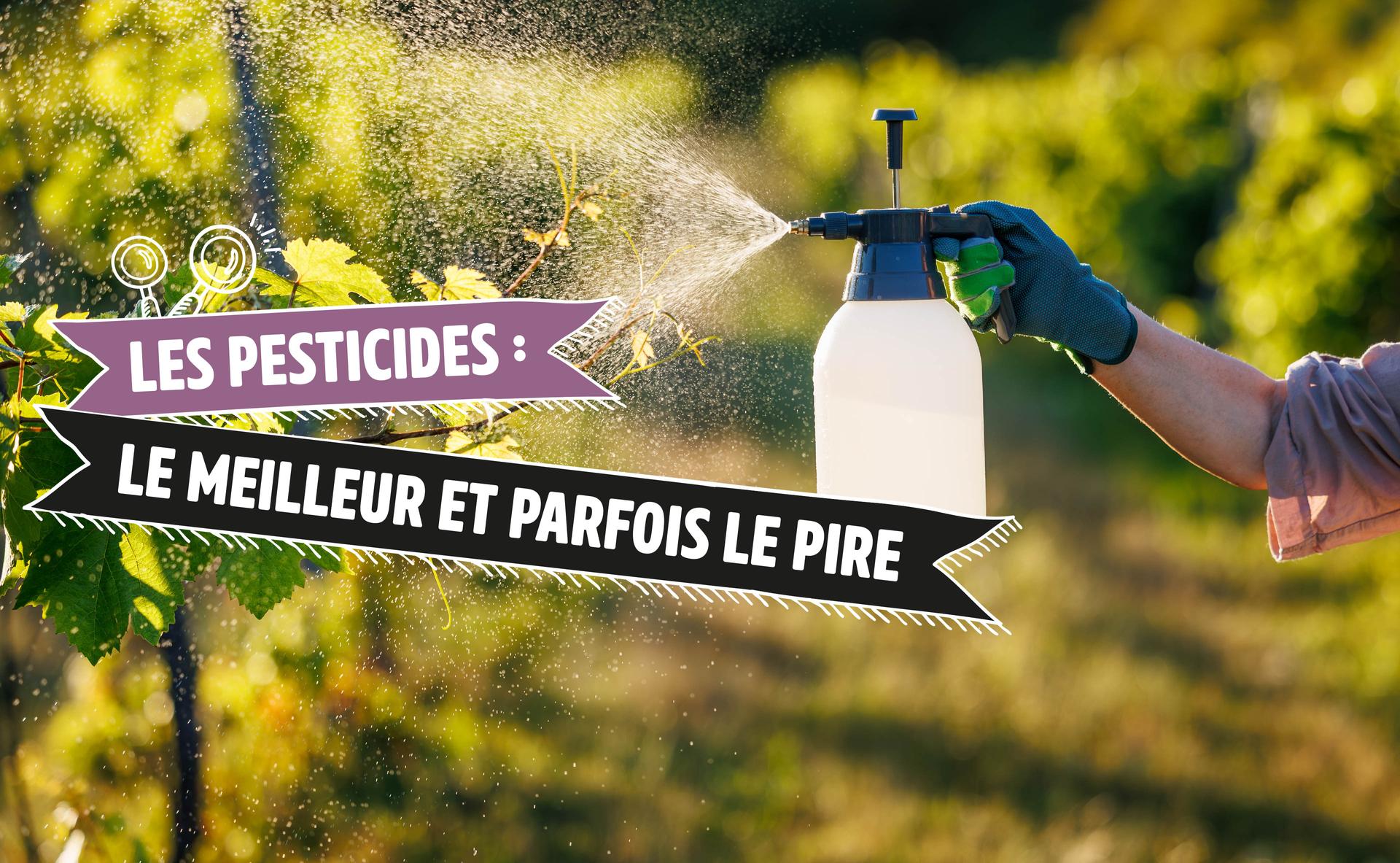 Les pesticides : le meilleur et parfois le pire