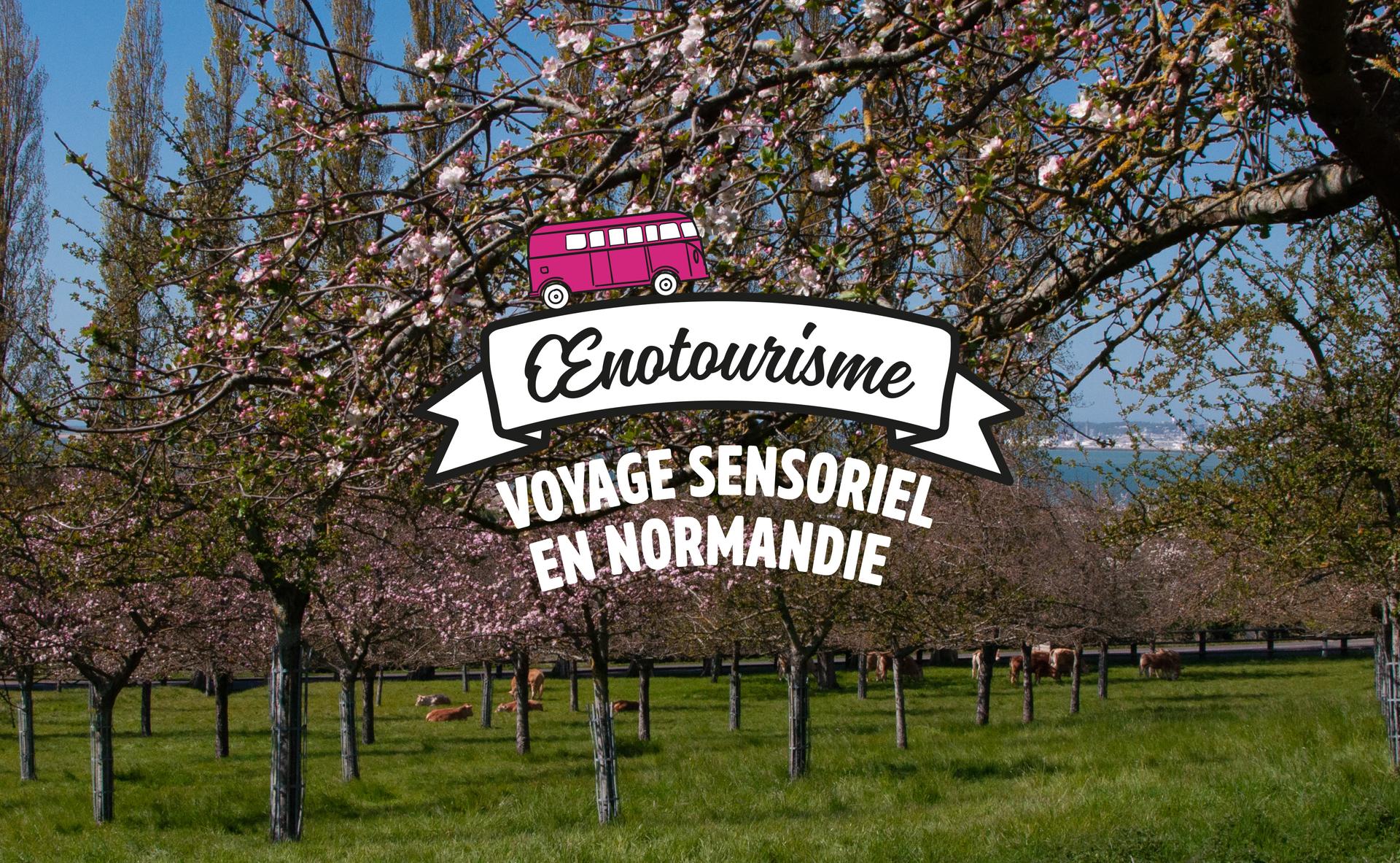 Cidre Brut - Cyril Zangs - Cidre Nature de Normandie