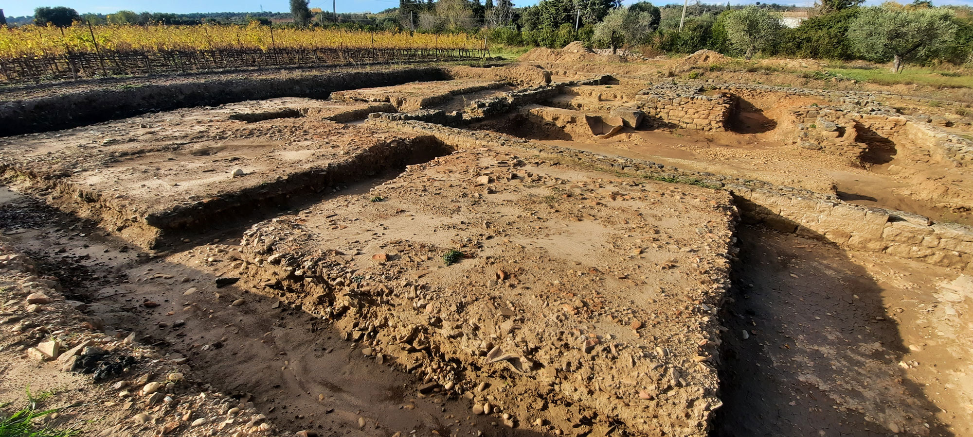 Site de fouilles archéologiques et caves romaines, partez à la découverte du vin antique