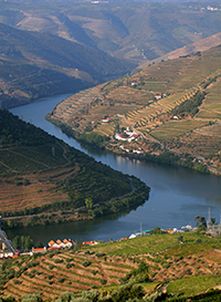 Vignobles de la Vallée du Douro au Portugal - toutlevin.com - Le blog