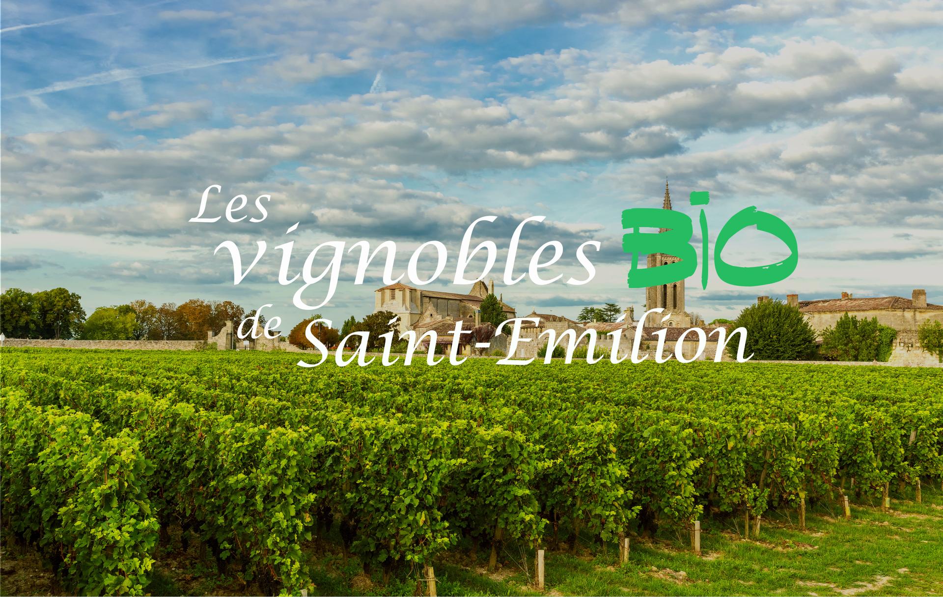 Découvrir les vignobles bio de Saint-Emilion