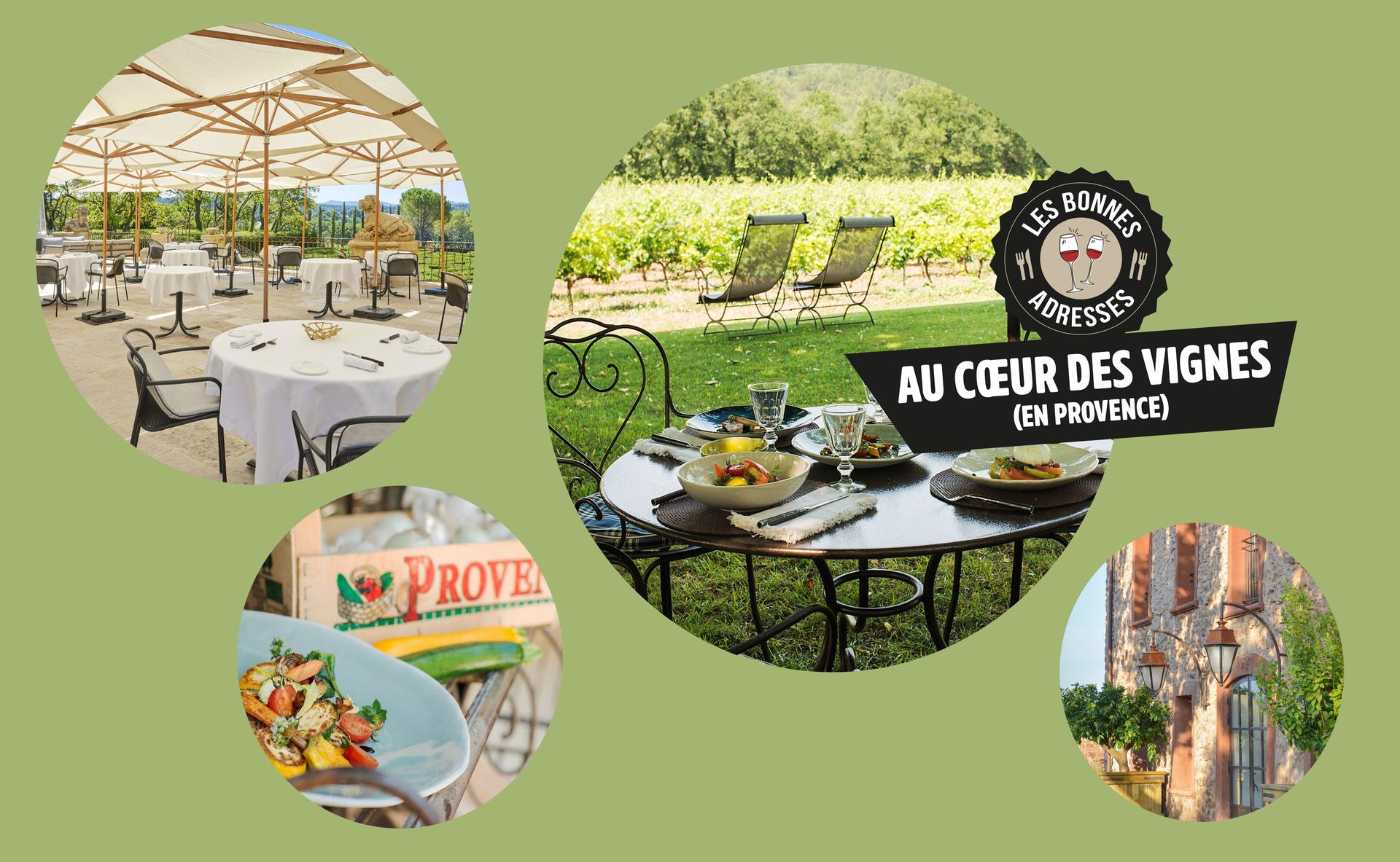 Vins et gastronomie : 3 tables incontournables au cœur des vignes de Provence