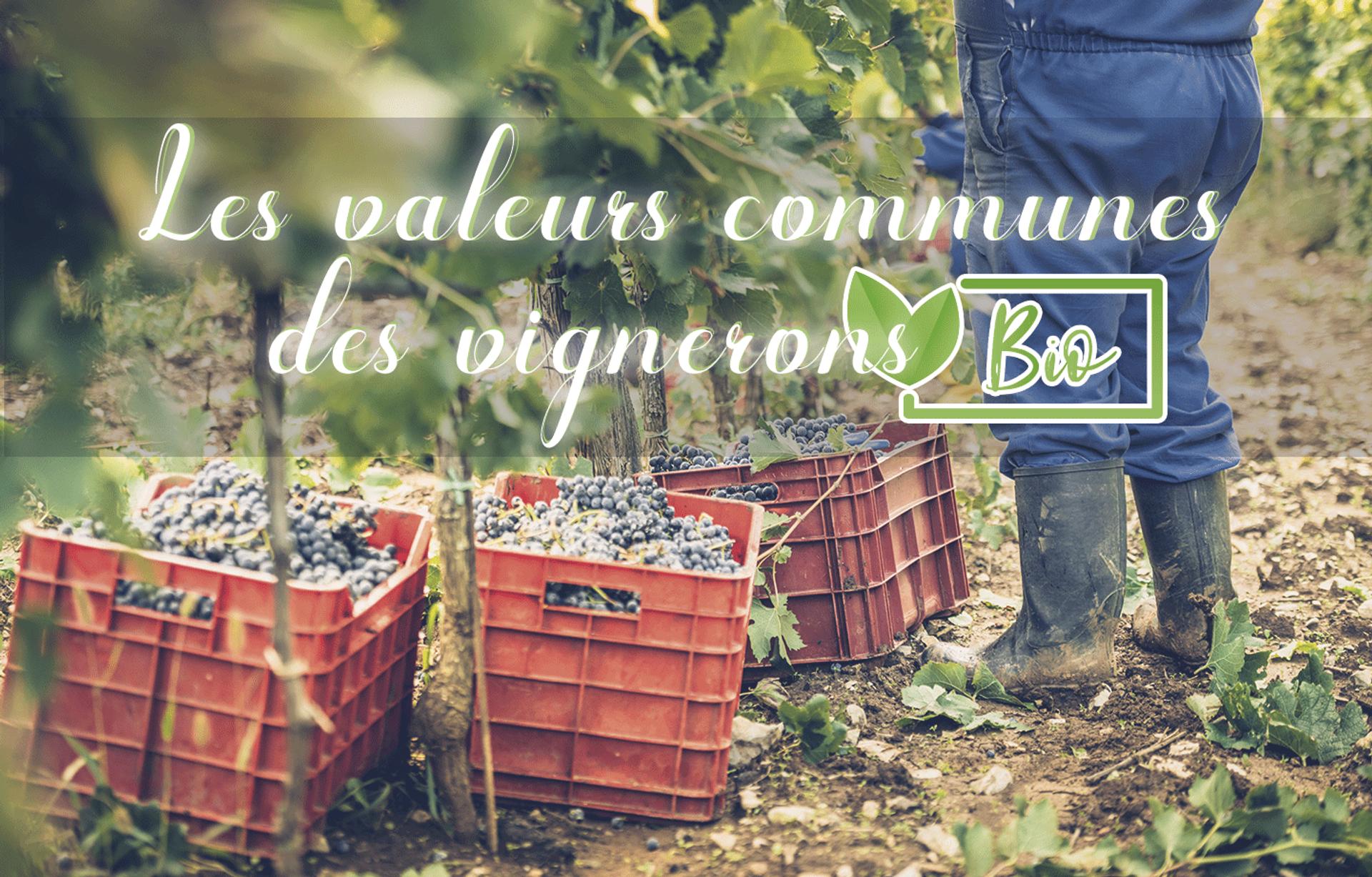 Quelles sont les valeurs communes des vignerons Bio ?